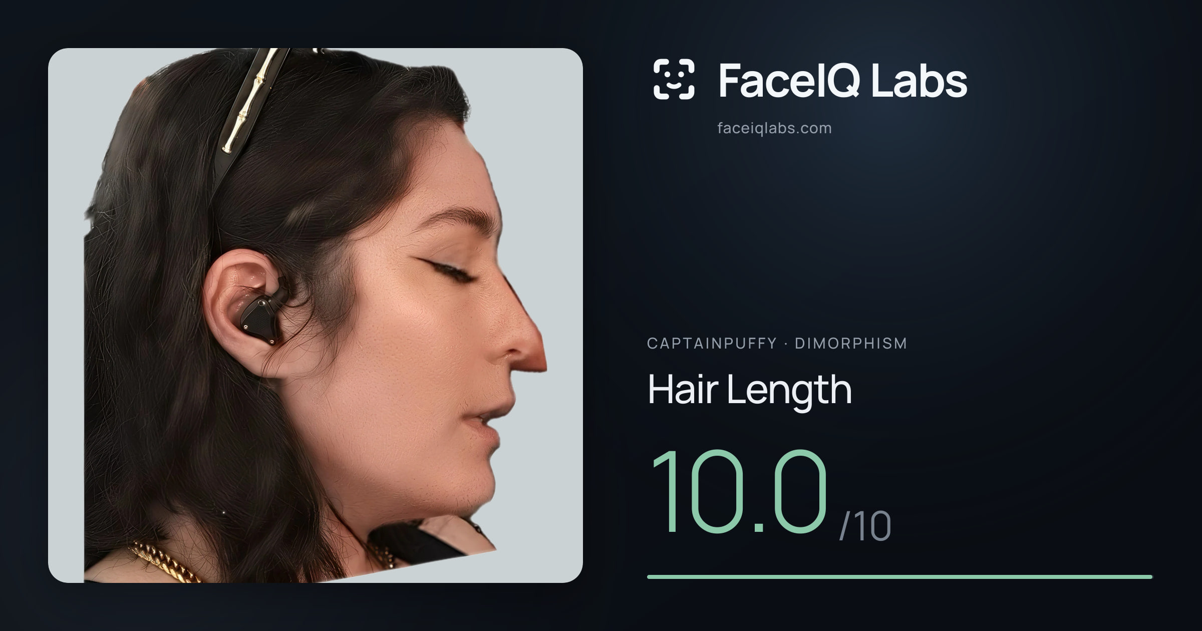 CaptainPuffy Hair Length: 10.0/10, drawn on the photo