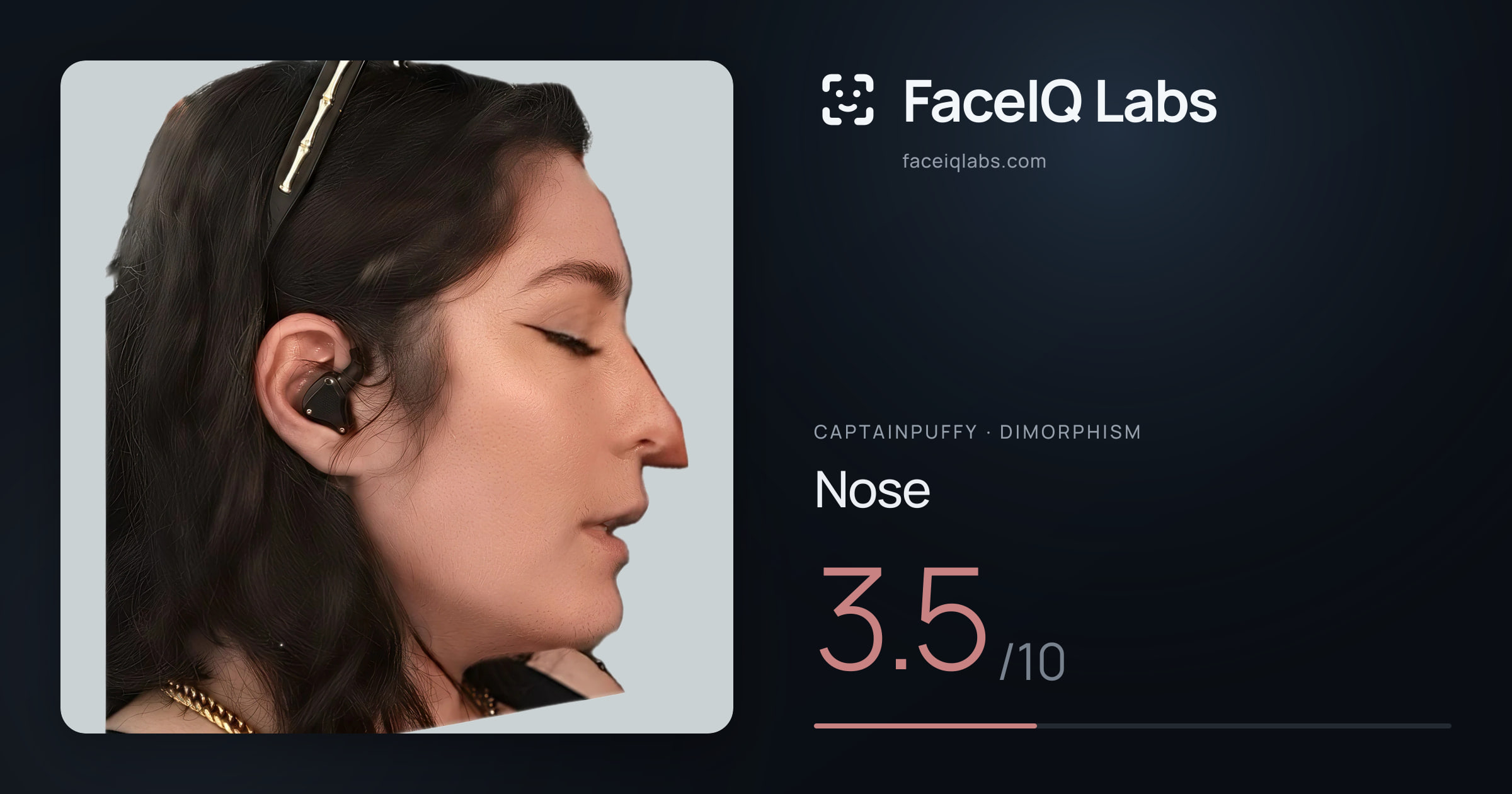 CaptainPuffy Nose: 3.5/10, drawn on the photo