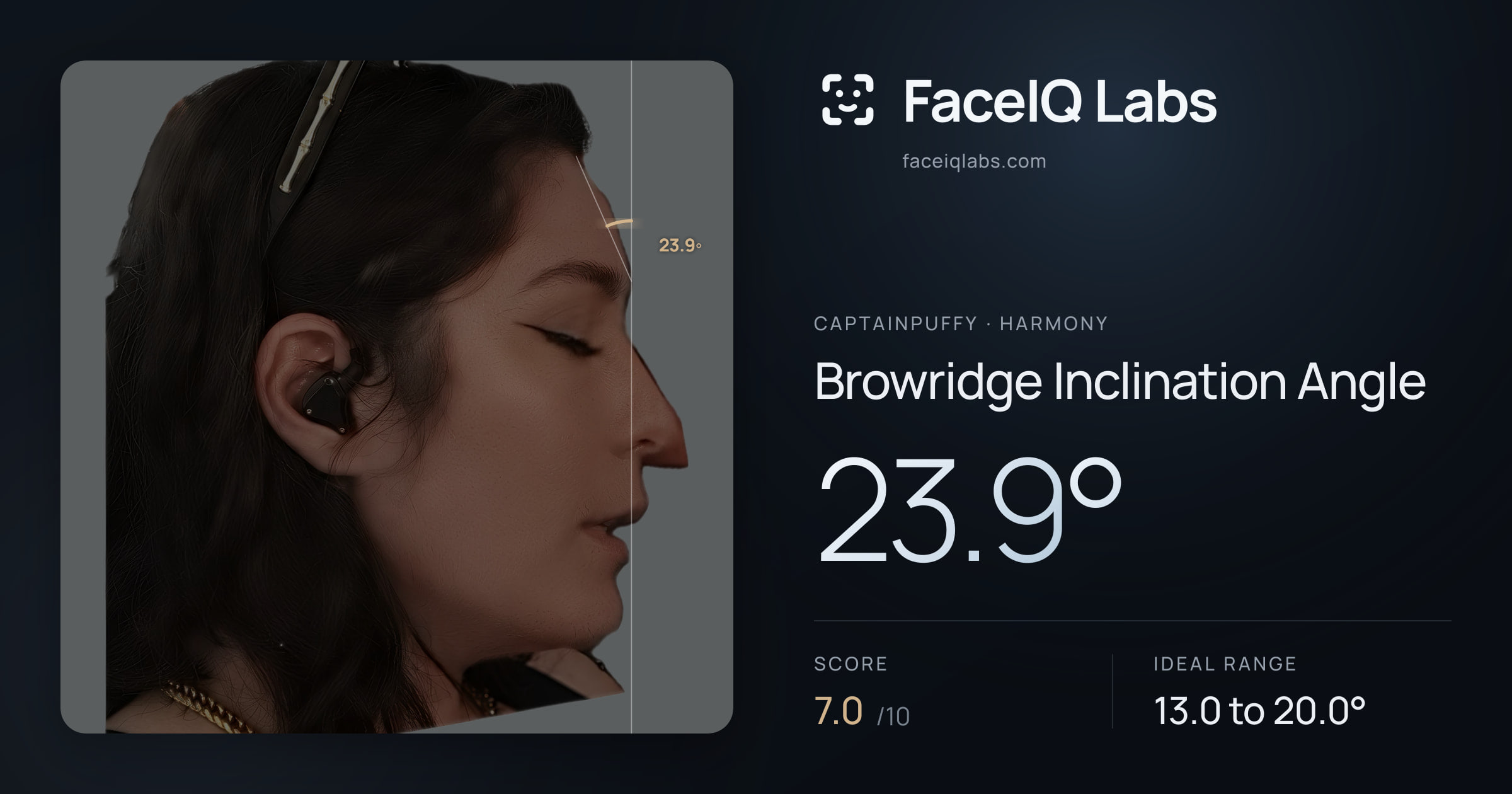 CaptainPuffy Browridge Inclination Angle: 23.9°, drawn on the photo
