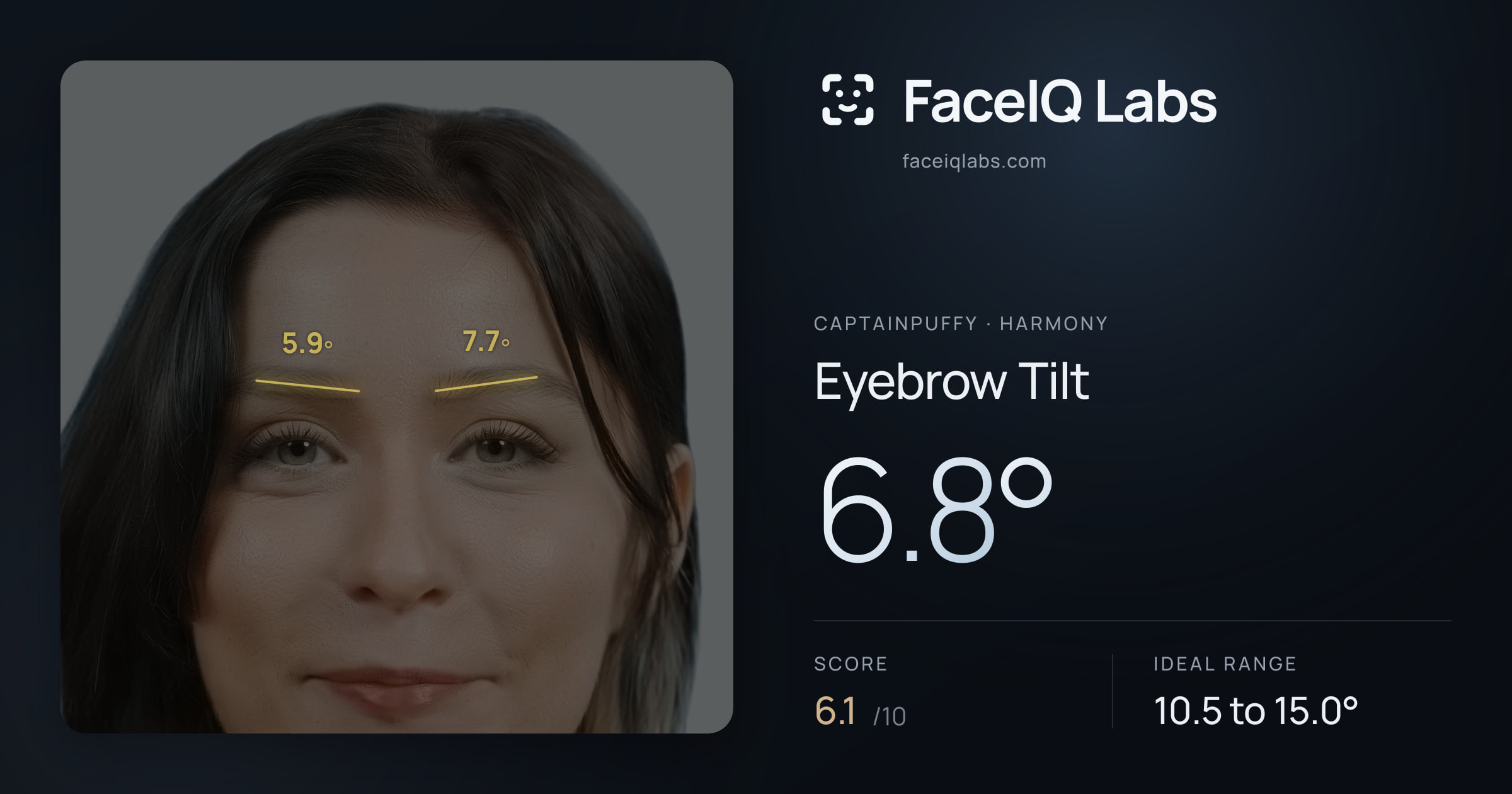 CaptainPuffy Eyebrow Tilt: 6.8°, drawn on the photo