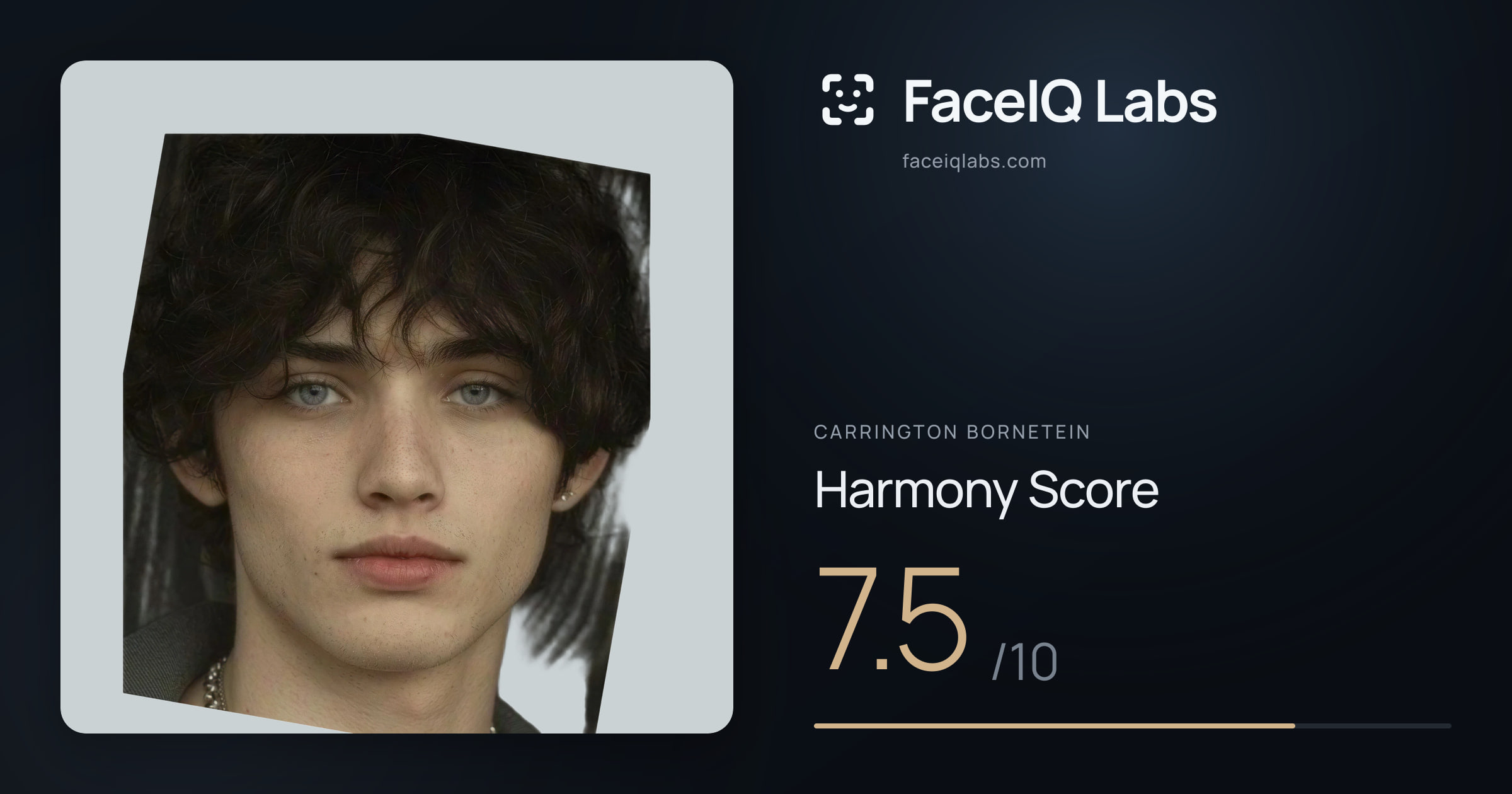 Carrington Bornetein Harmony: 7.5/10, with each ratio's score