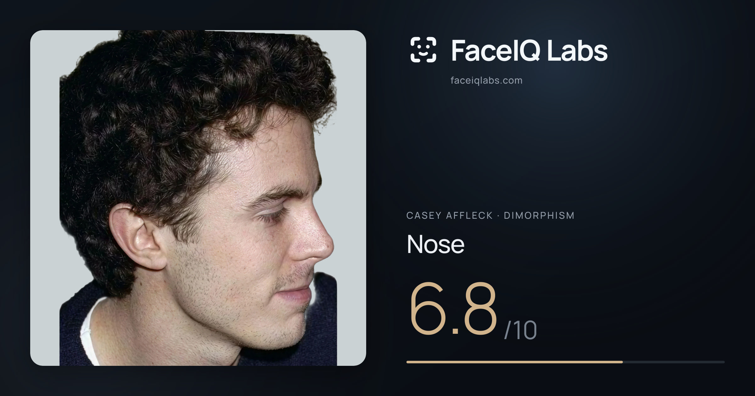 Casey Affleck Nose: 6.8/10, drawn on the photo