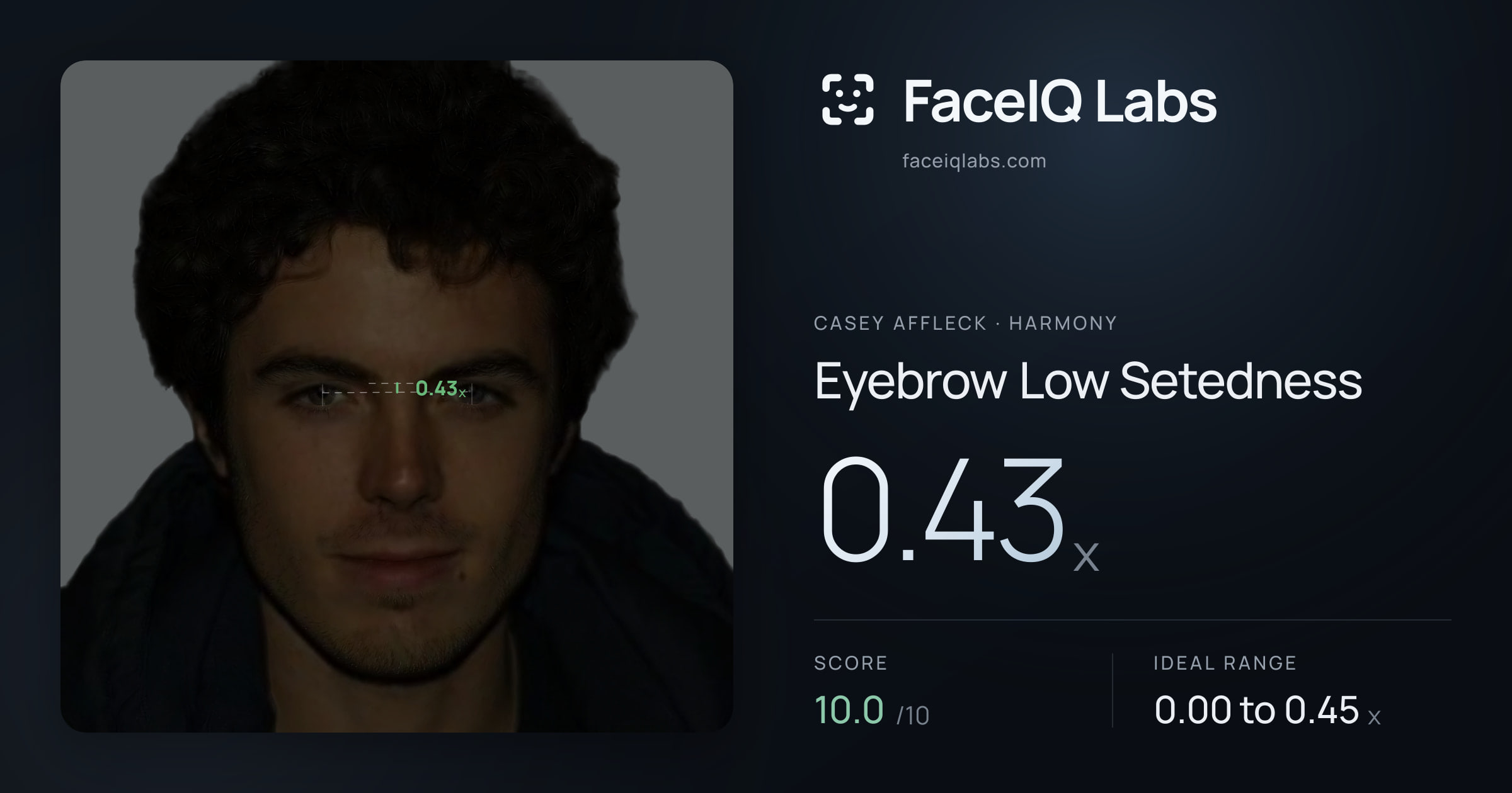 Casey Affleck Eyebrow Low Setedness: 0.43x, drawn on the photo