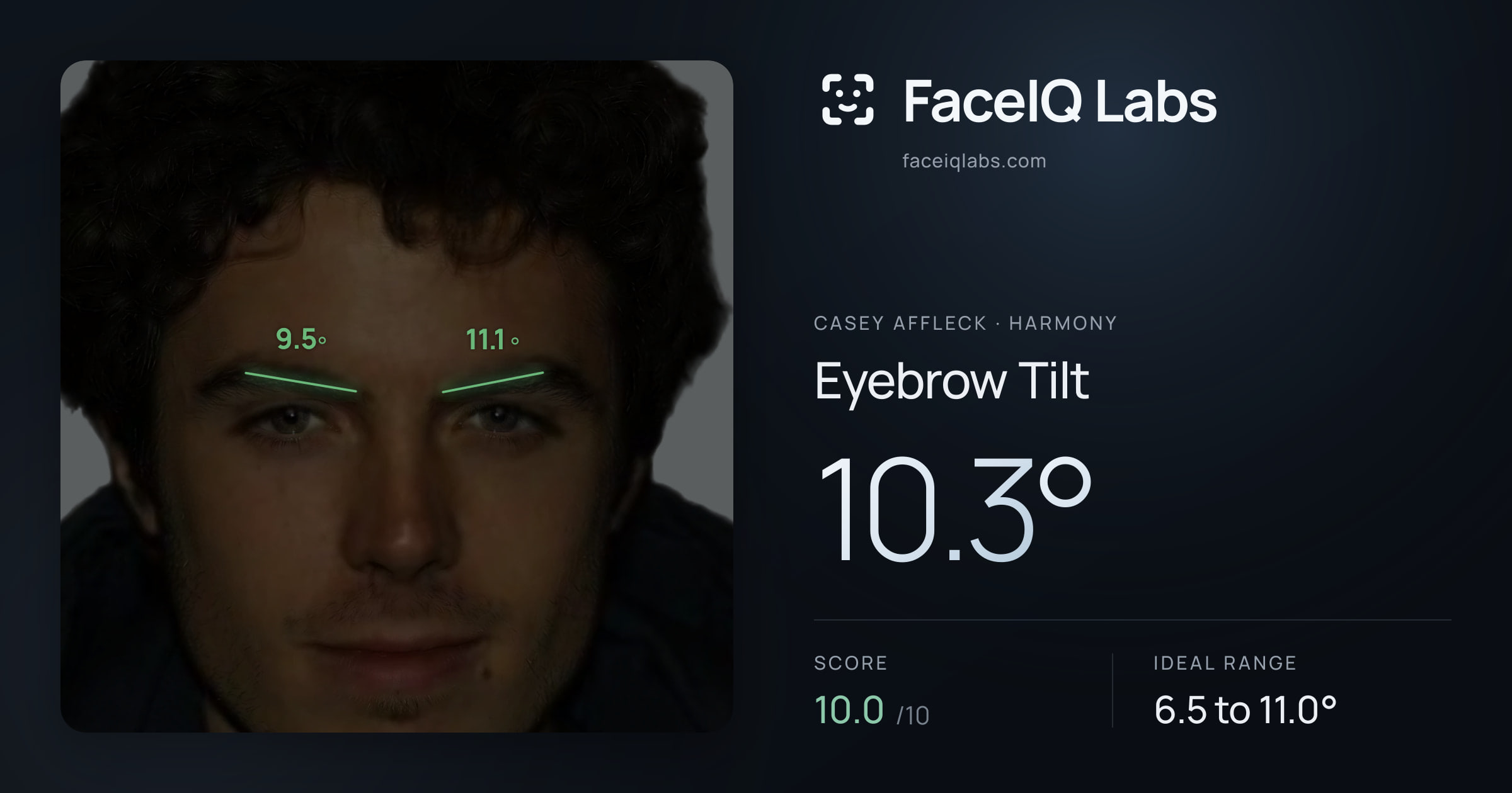 Casey Affleck Eyebrow Tilt: 10.3°, drawn on the photo