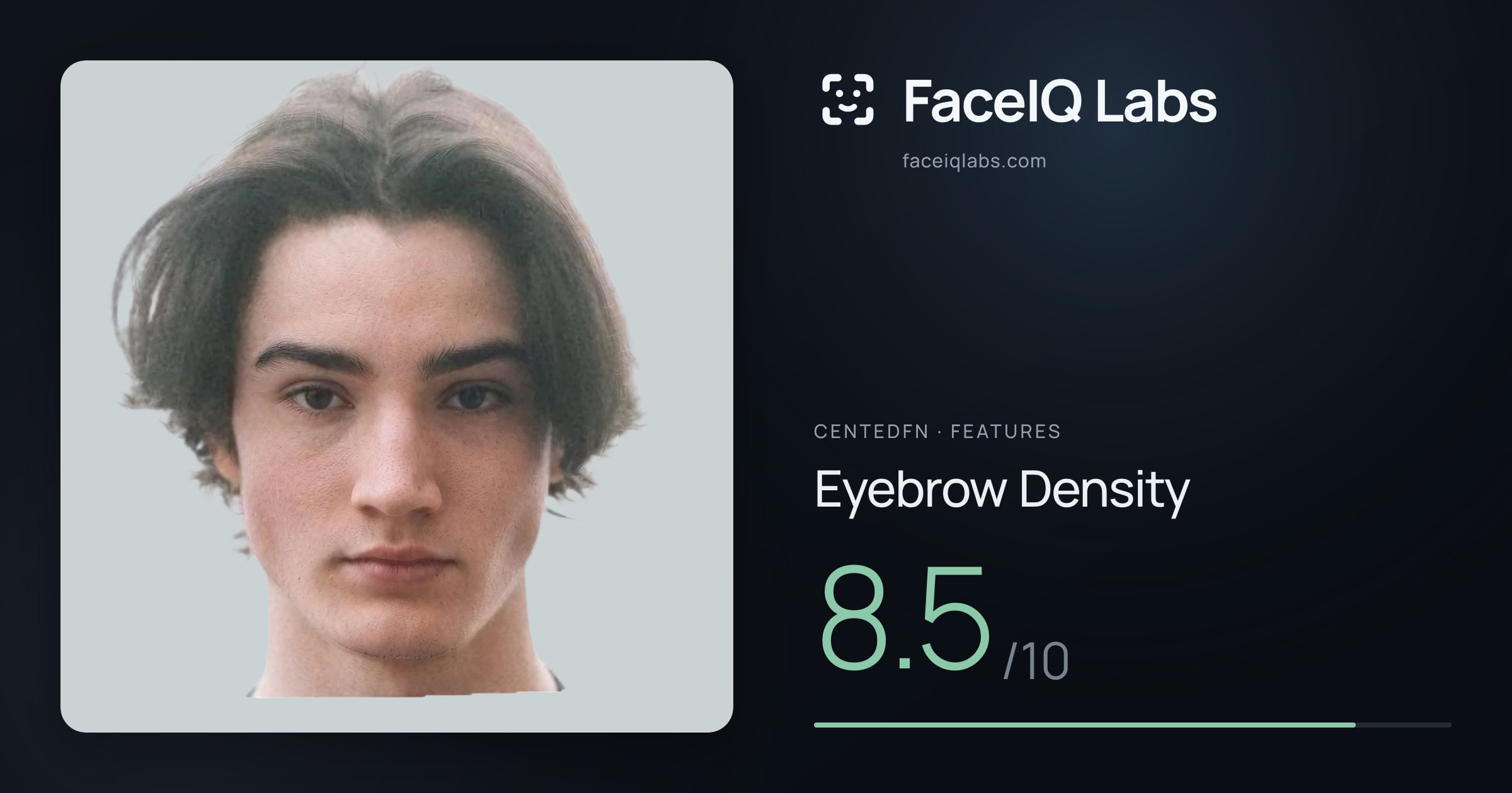 CentedFN Eyebrow Density: 8.5/10, drawn on the photo