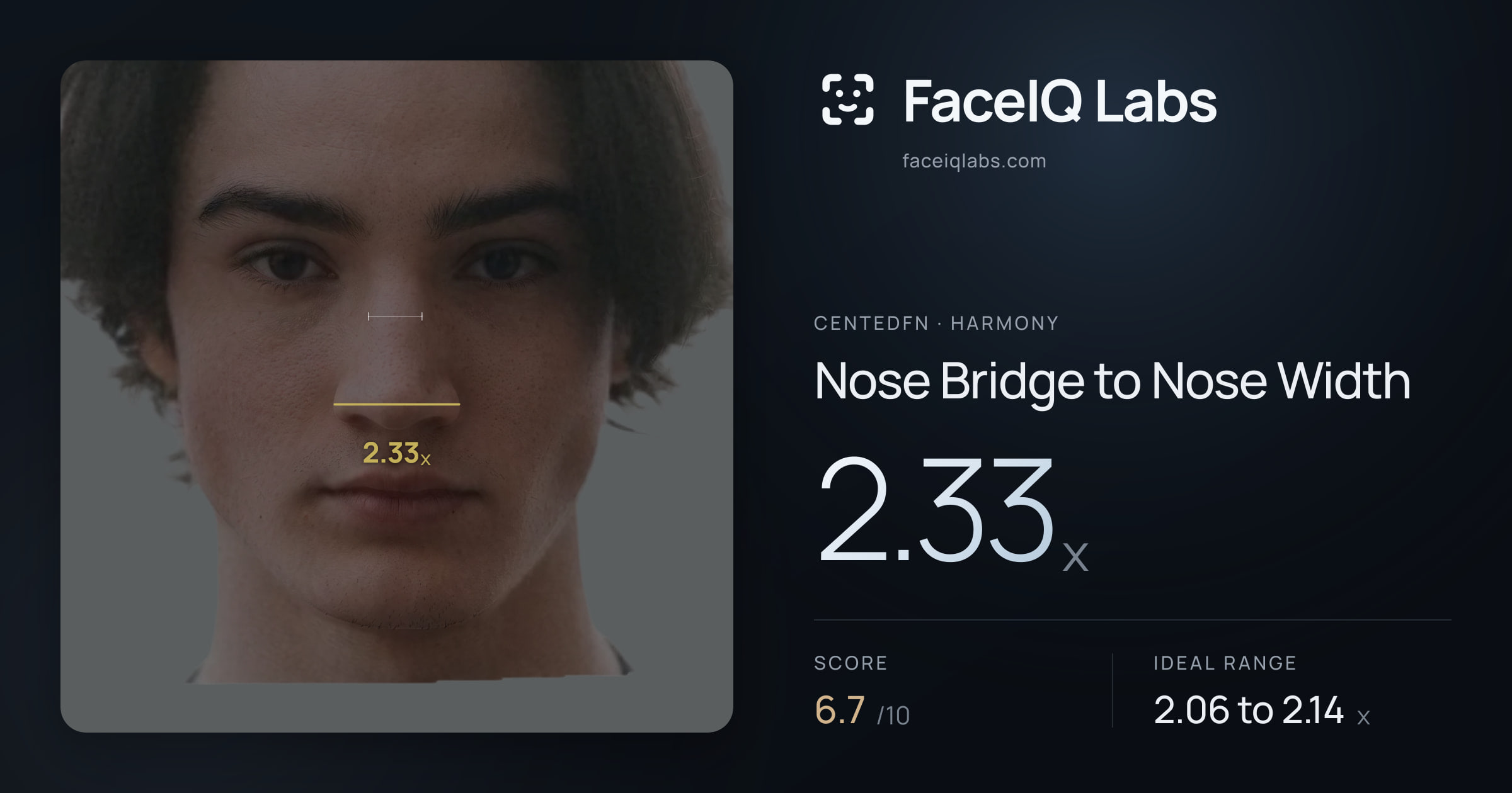 CentedFN Nose Bridge to Nose Width: 2.33x, drawn on the photo