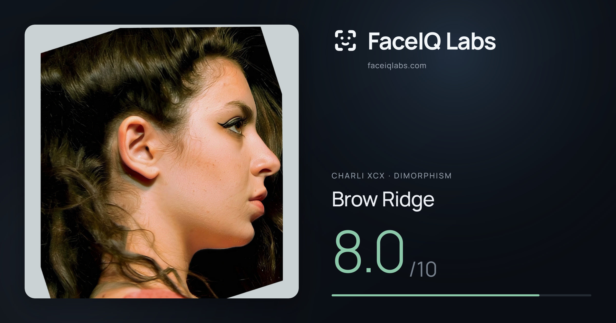 Charli XCX Brow Ridge: 8.0/10, drawn on the photo