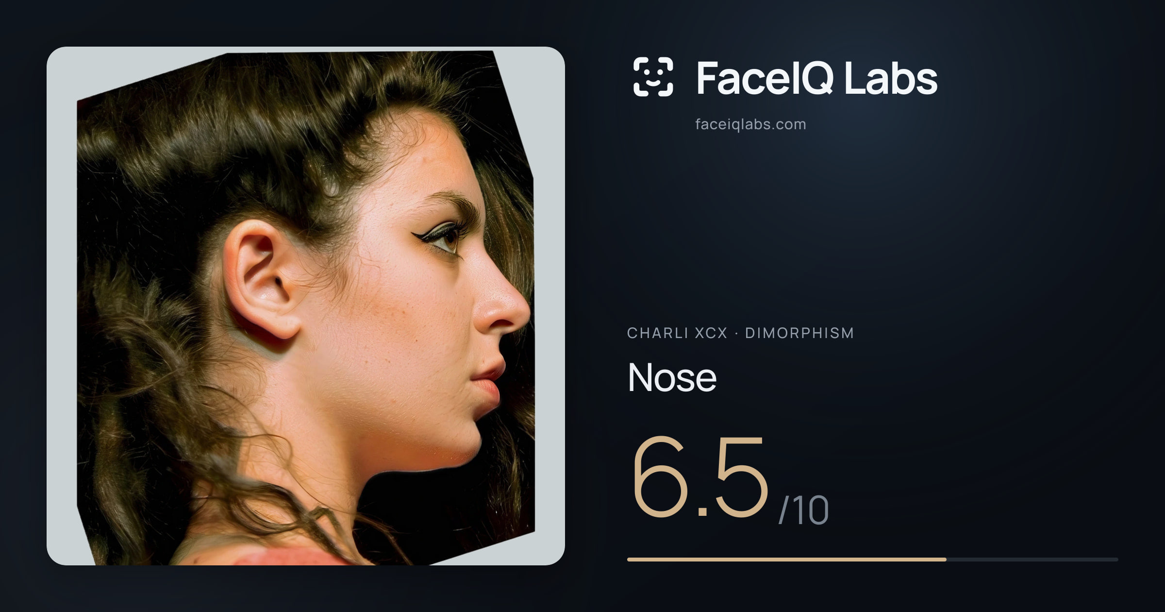 Charli XCX Nose: 6.5/10, drawn on the photo
