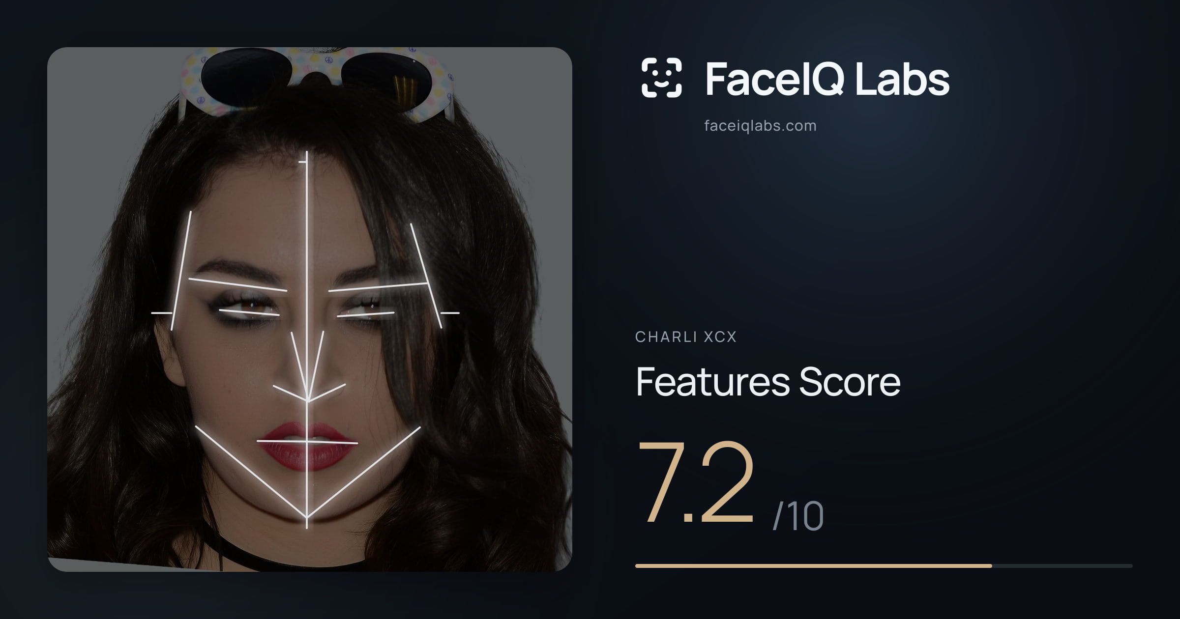 Charli XCX Features: 7.2/10, with each assessment drawn on the photo
