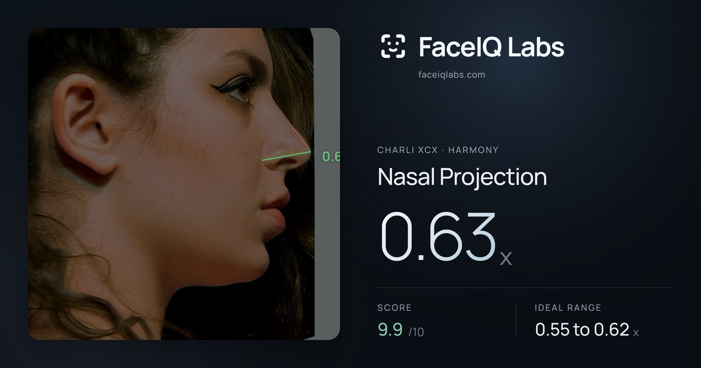 Charli XCX Nasal Projection: 0.63x, drawn on the photo