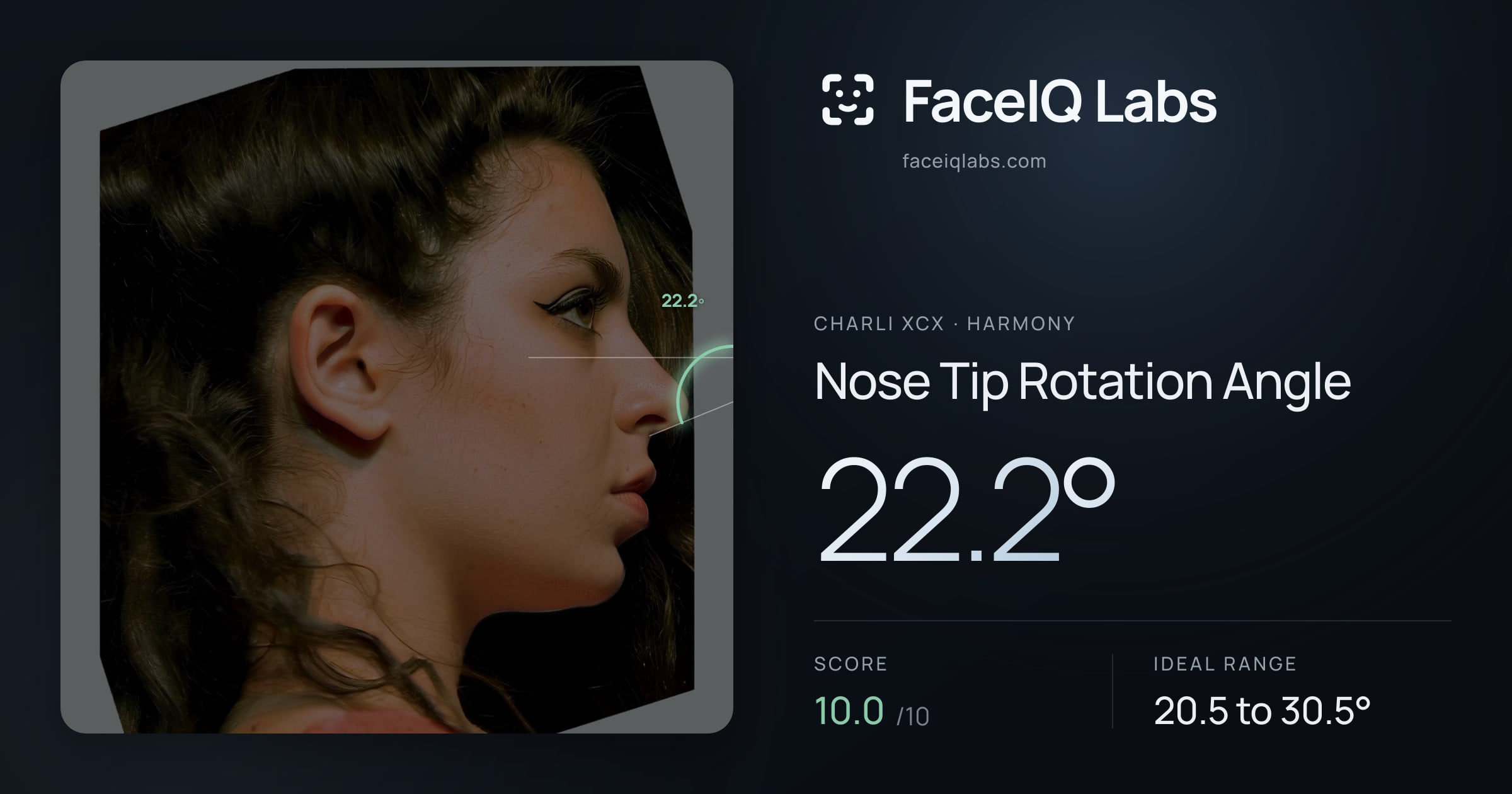 Charli XCX Nose Tip Rotation Angle: 22.2°, drawn on the photo