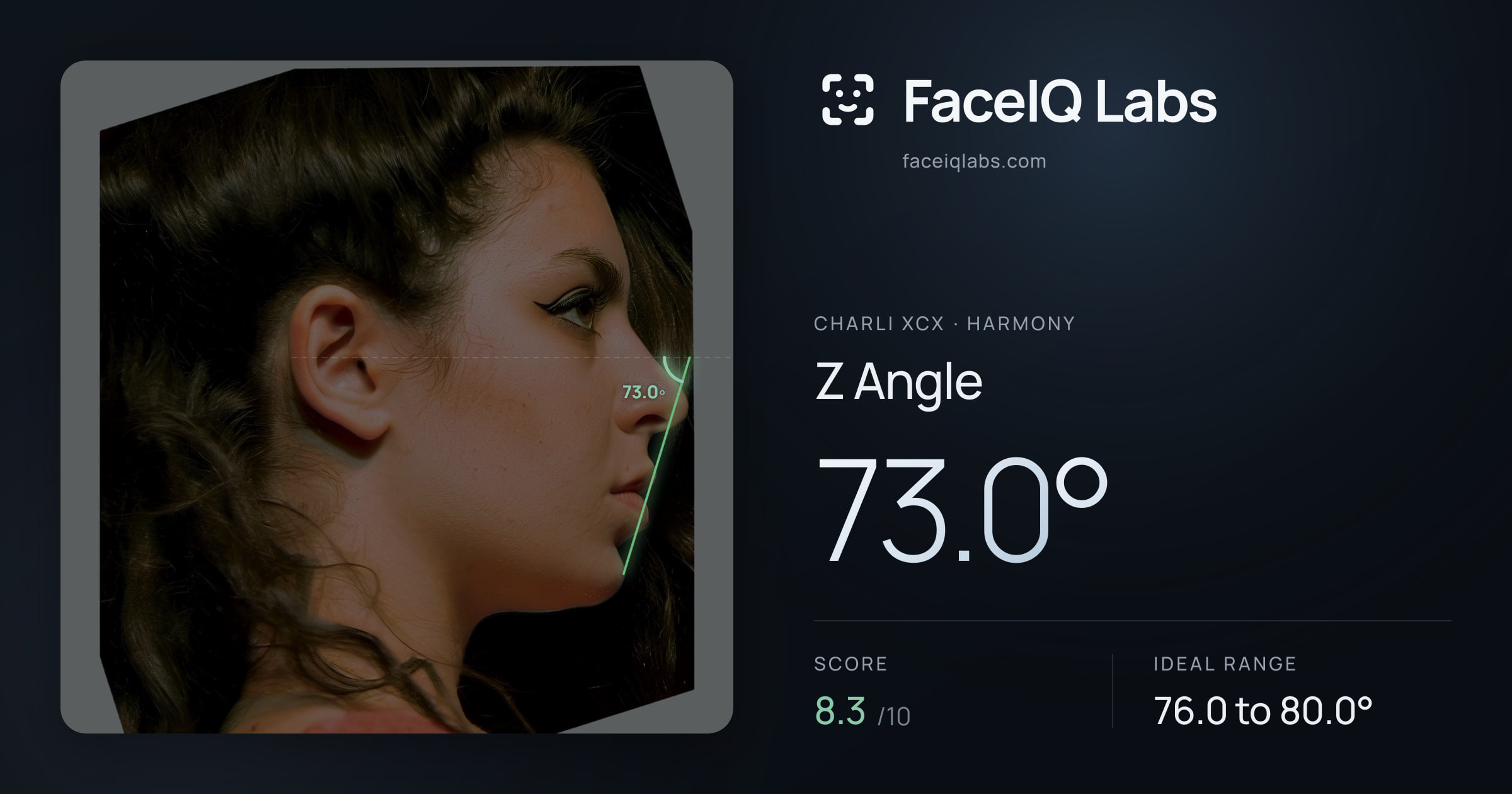 Charli XCX Z Angle: 73.0°, drawn on the photo