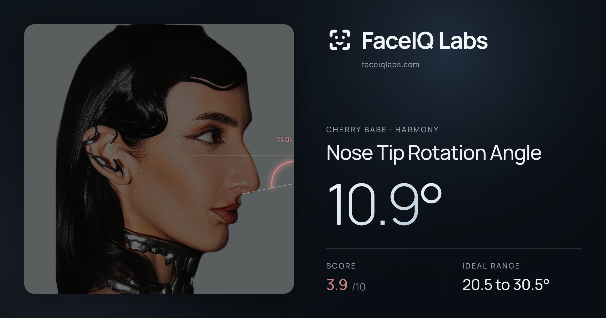 Cherry Babe Nose Tip Rotation Angle: 10.9°, drawn on the photo