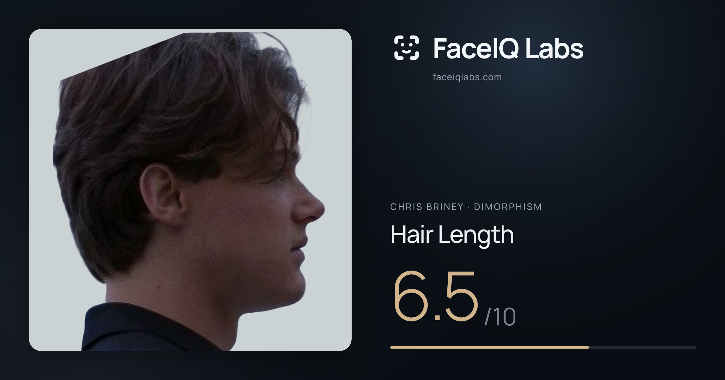 Chris Briney Hair Length: 6.5/10, drawn on the photo