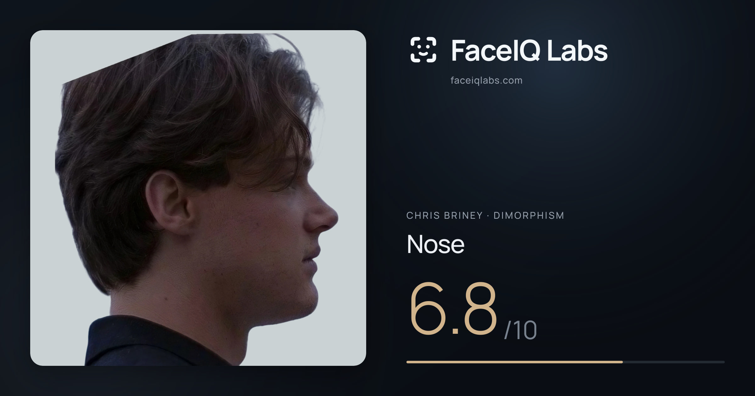 Chris Briney Nose: 6.8/10, drawn on the photo