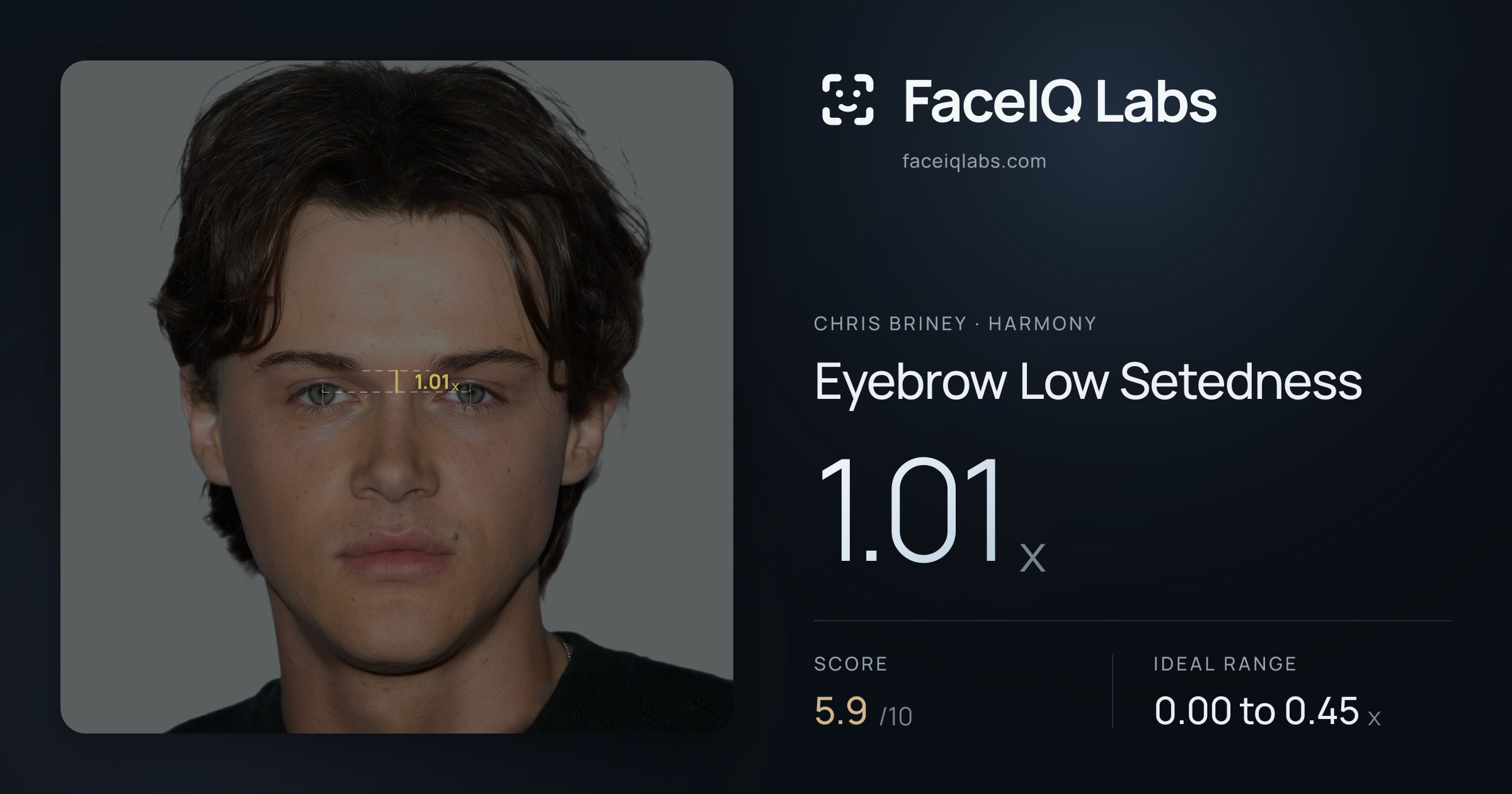 Chris Briney Eyebrow Low Setedness: 1.01x, drawn on the photo