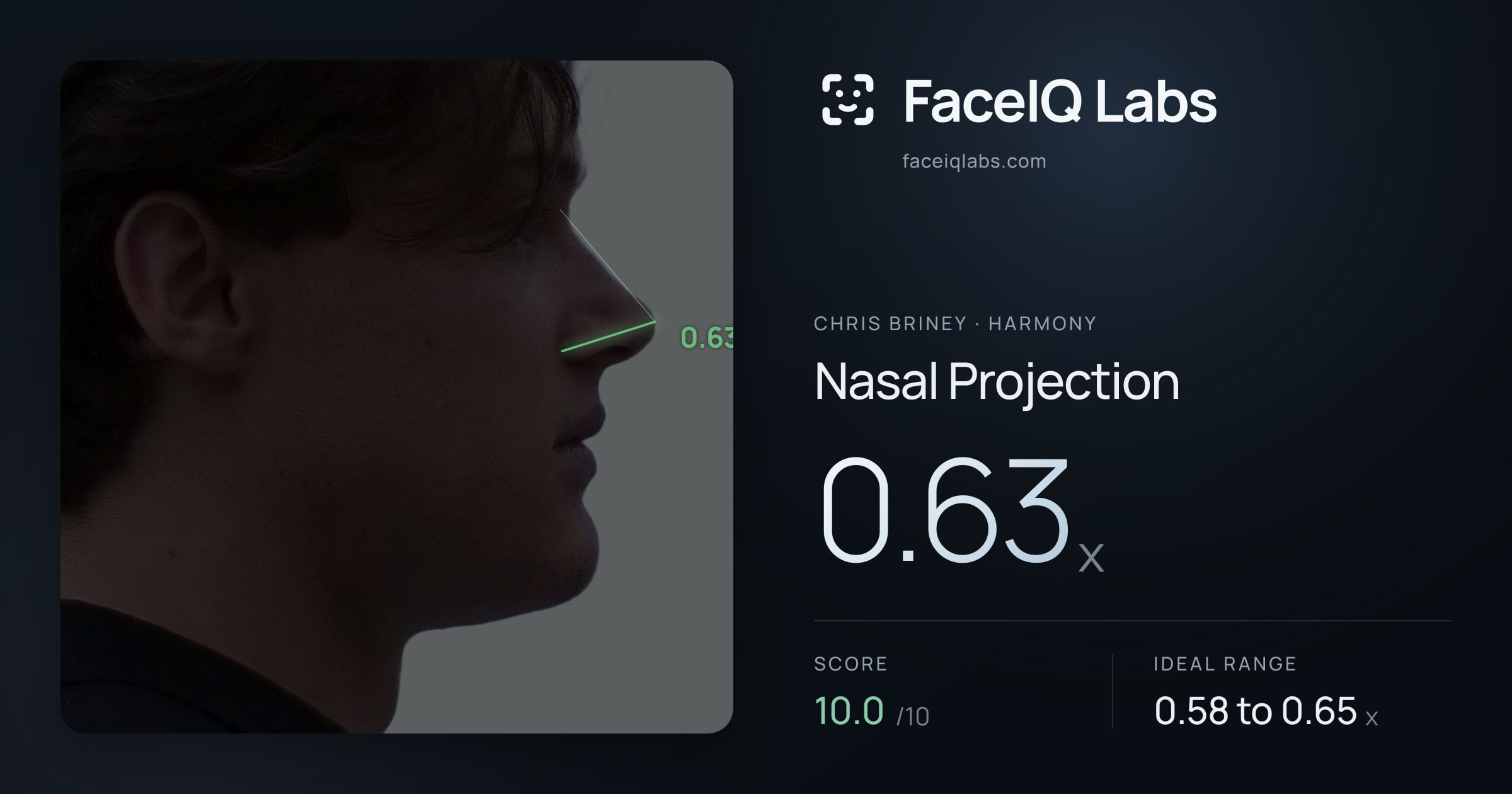 Chris Briney Nasal Projection: 0.63x, drawn on the photo