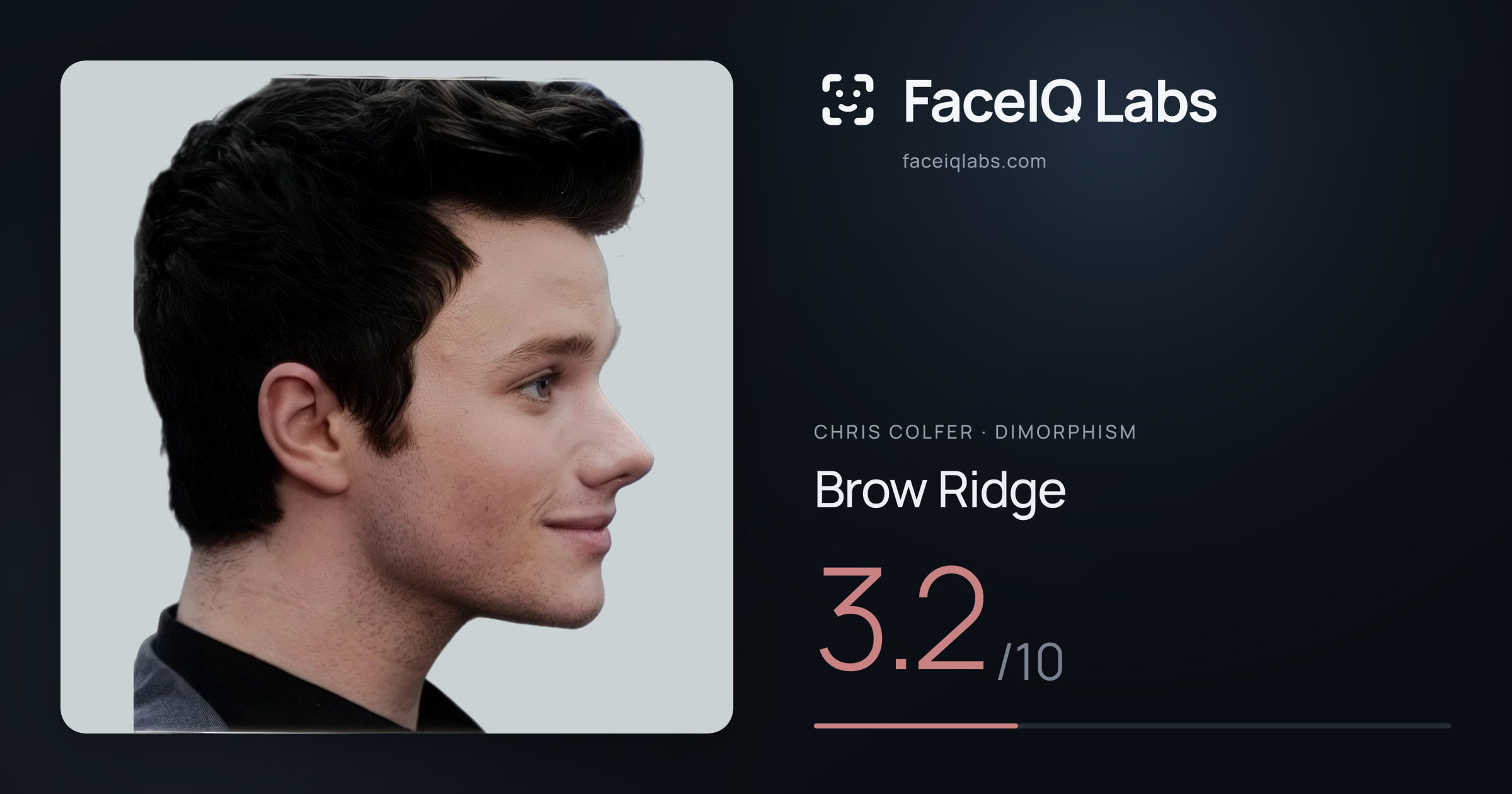 Chris Colfer Brow Ridge: 3.2/10, drawn on the photo