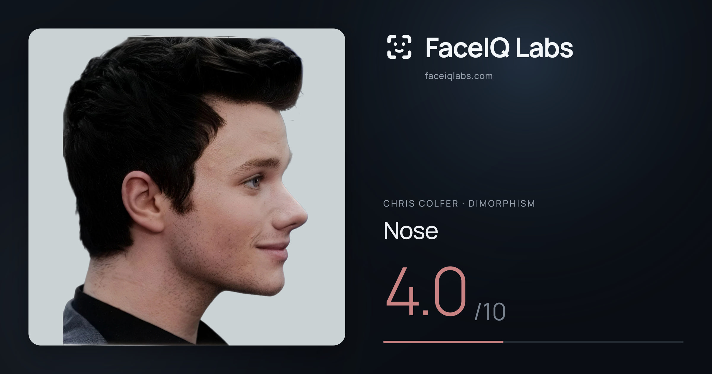 Chris Colfer Nose: 4.0/10, drawn on the photo