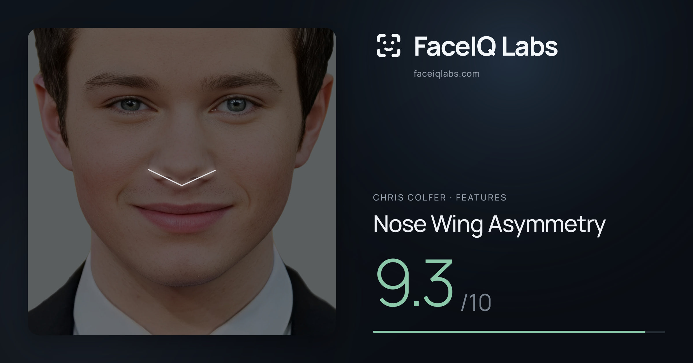 Chris Colfer Nose Wing Asymmetry: 9.3/10, drawn on the photo