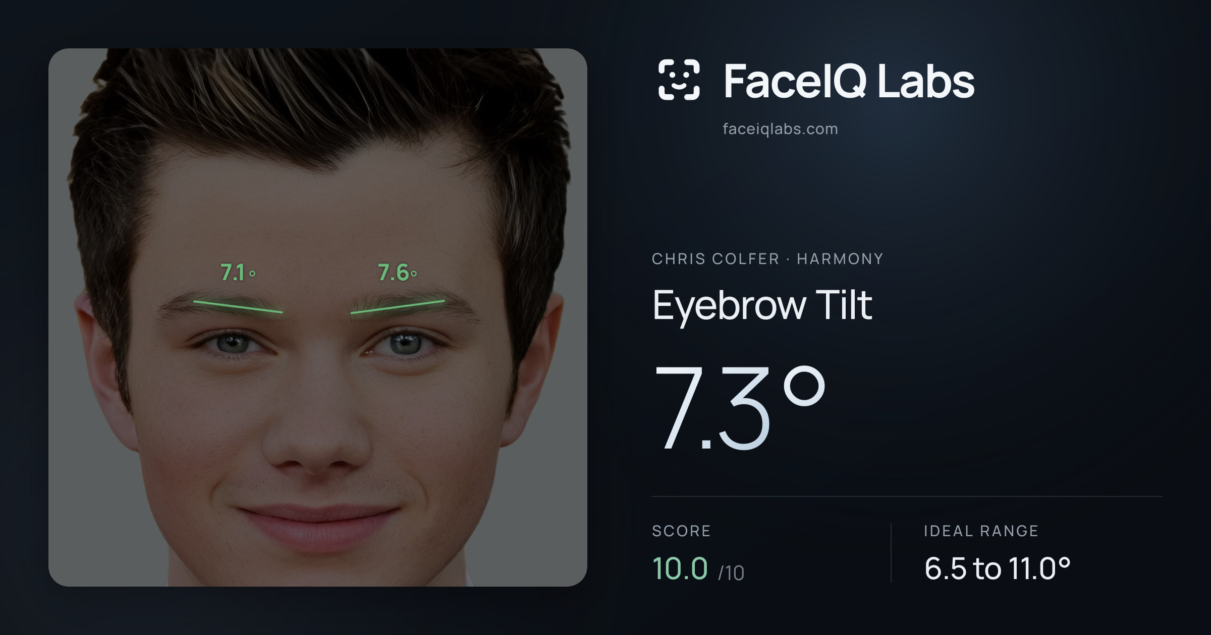 Chris Colfer Eyebrow Tilt: 7.3°, drawn on the photo