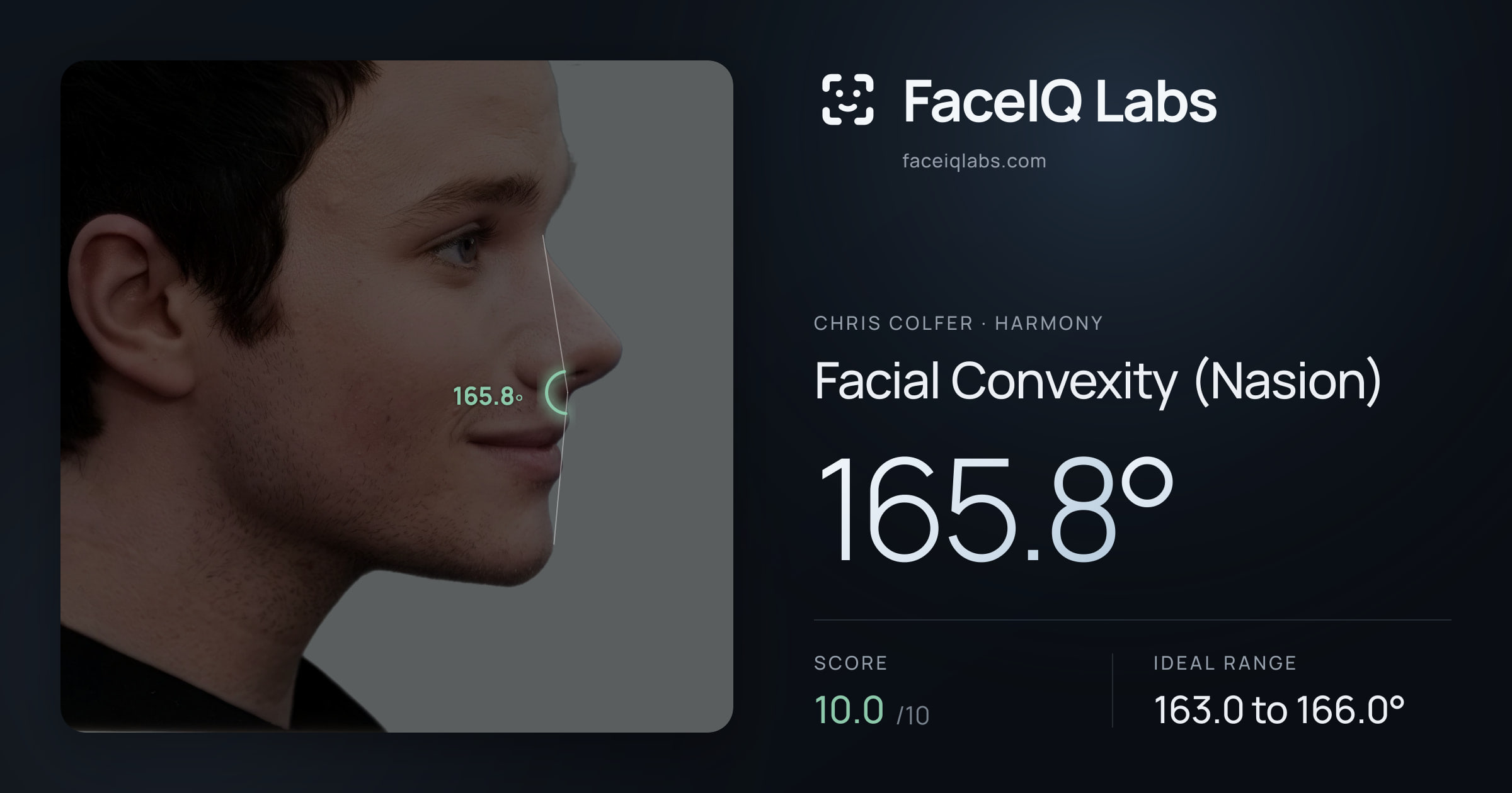 Chris Colfer Facial Convexity (Nasion): 165.8°, drawn on the photo