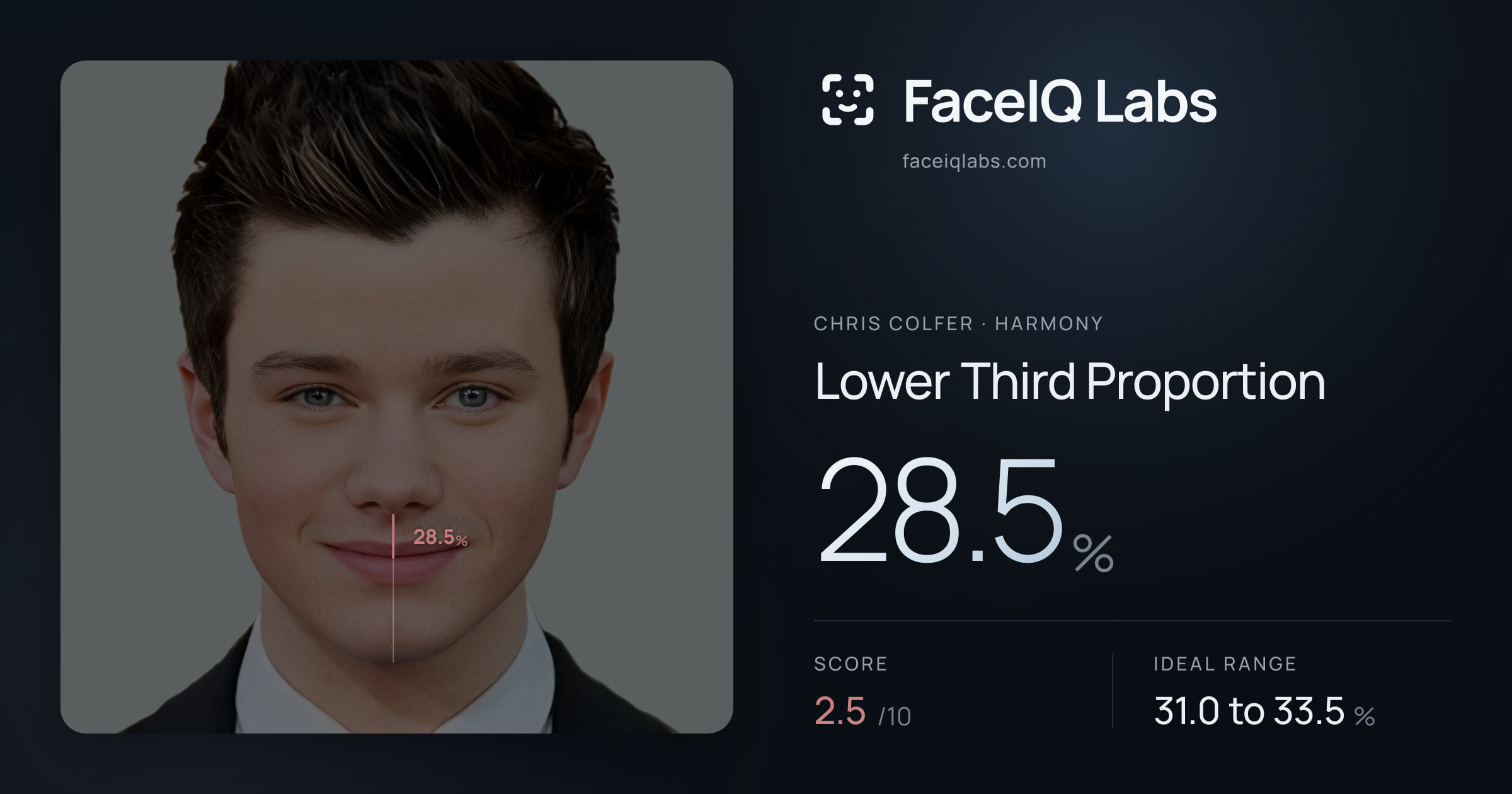 Chris Colfer Lower Third Proportion: 28.5%, drawn on the photo