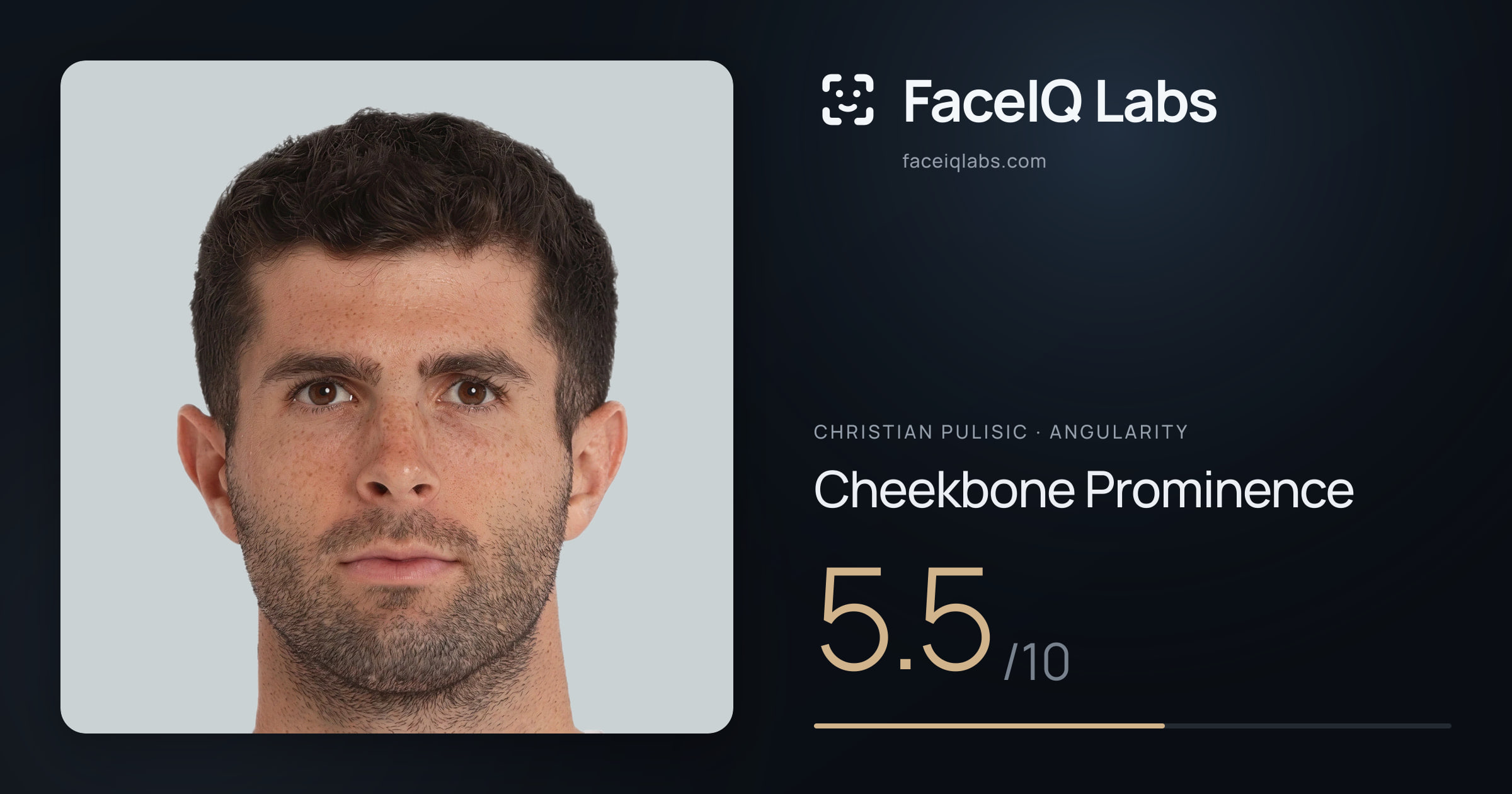 Christian Pulisic Cheekbone Prominence: 5.5/10, drawn on the photo