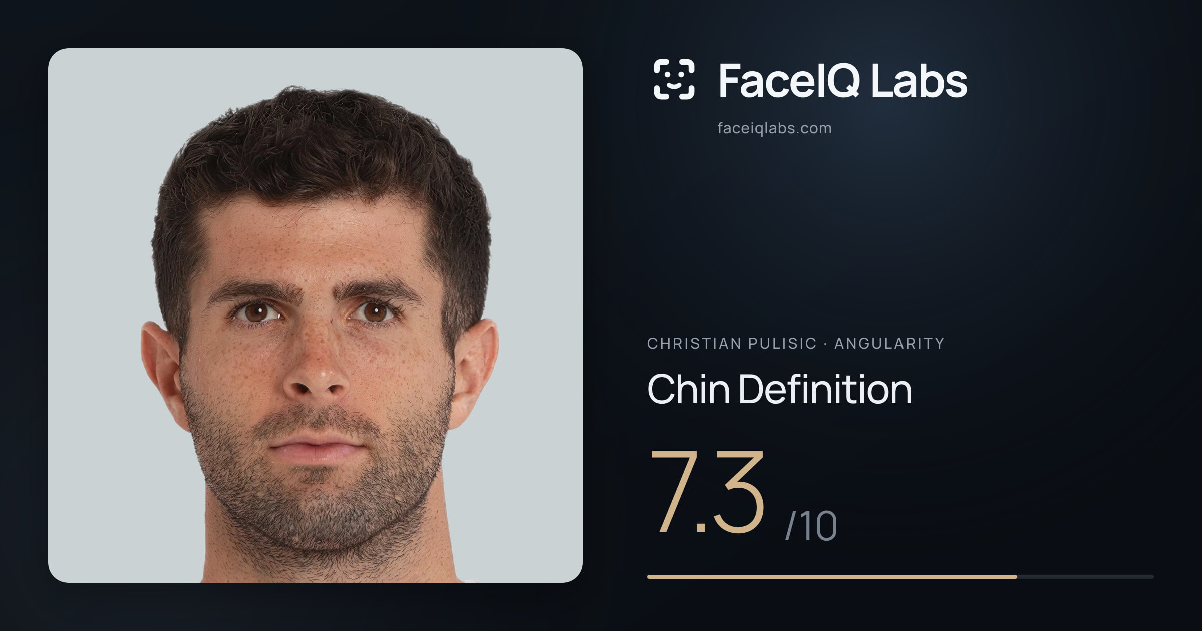 Christian Pulisic Chin Definition: 7.3/10, drawn on the photo