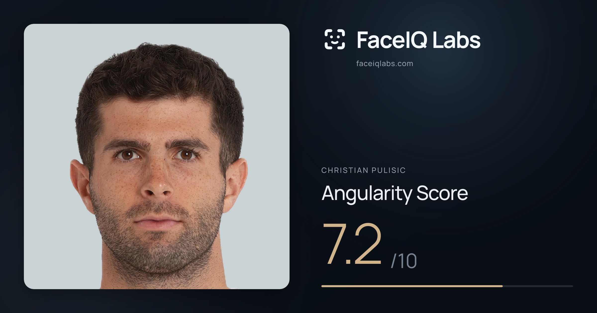 Christian Pulisic Angularity: 7.2/10, with each assessment drawn on the photo