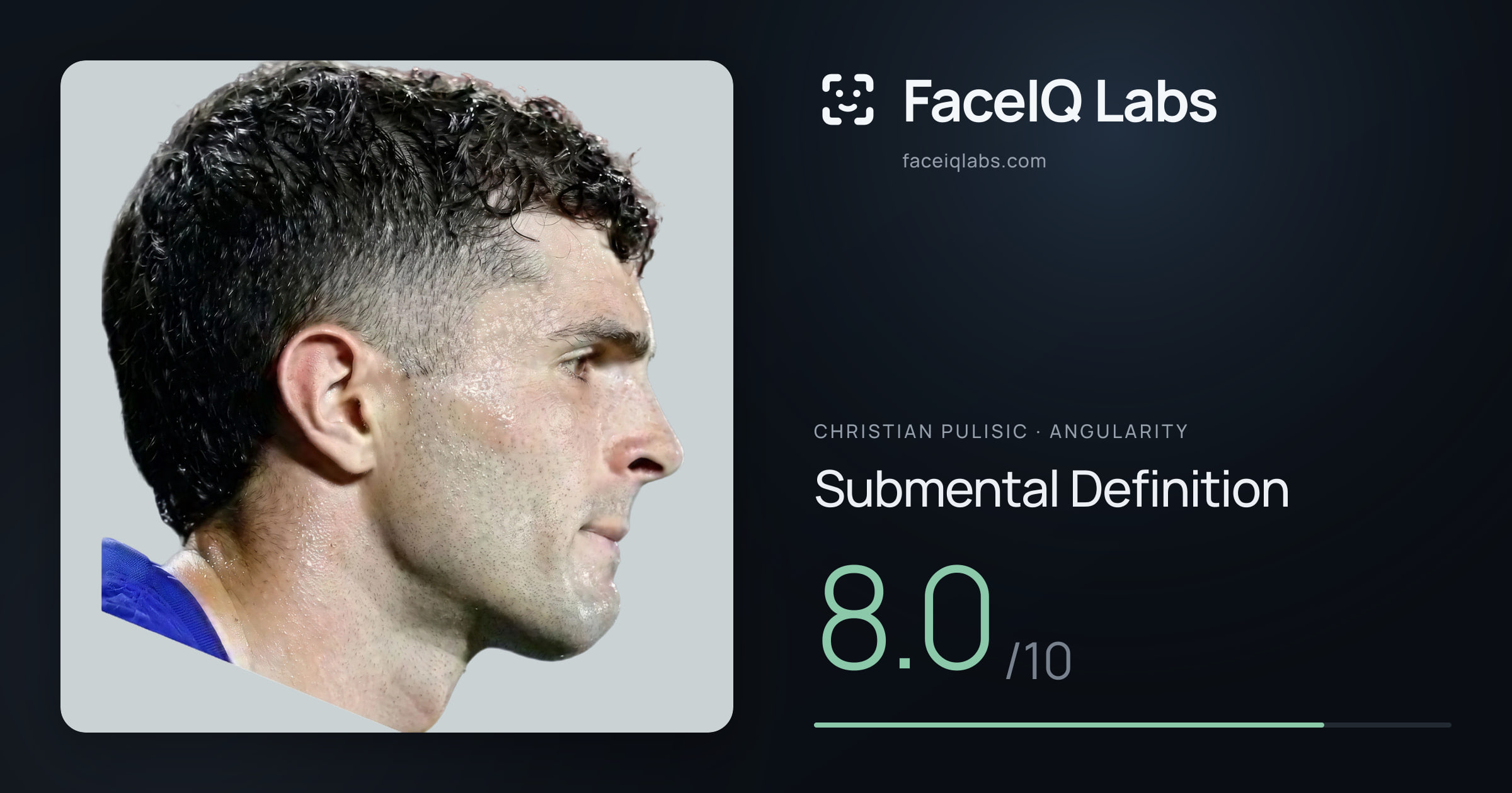 Christian Pulisic Submental Definition: 8.0/10, drawn on the photo