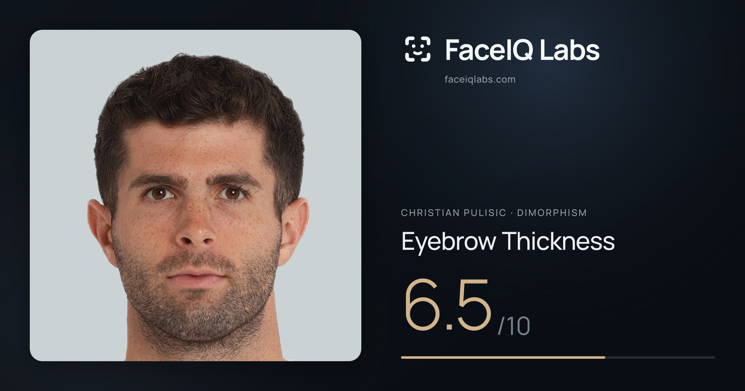 Christian Pulisic Eyebrow Thickness: 6.5/10, drawn on the photo