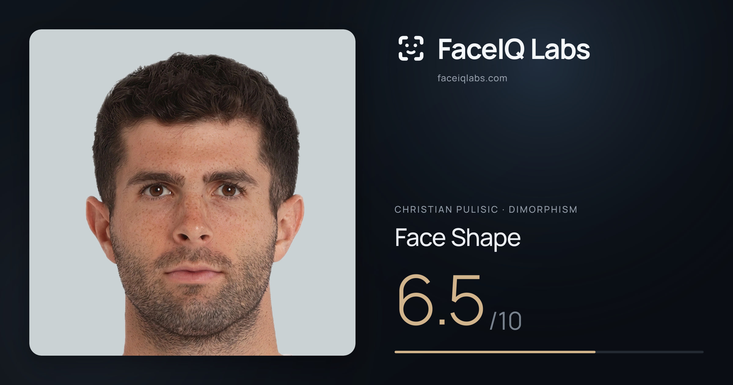 Christian Pulisic Face Shape: 6.5/10, drawn on the photo