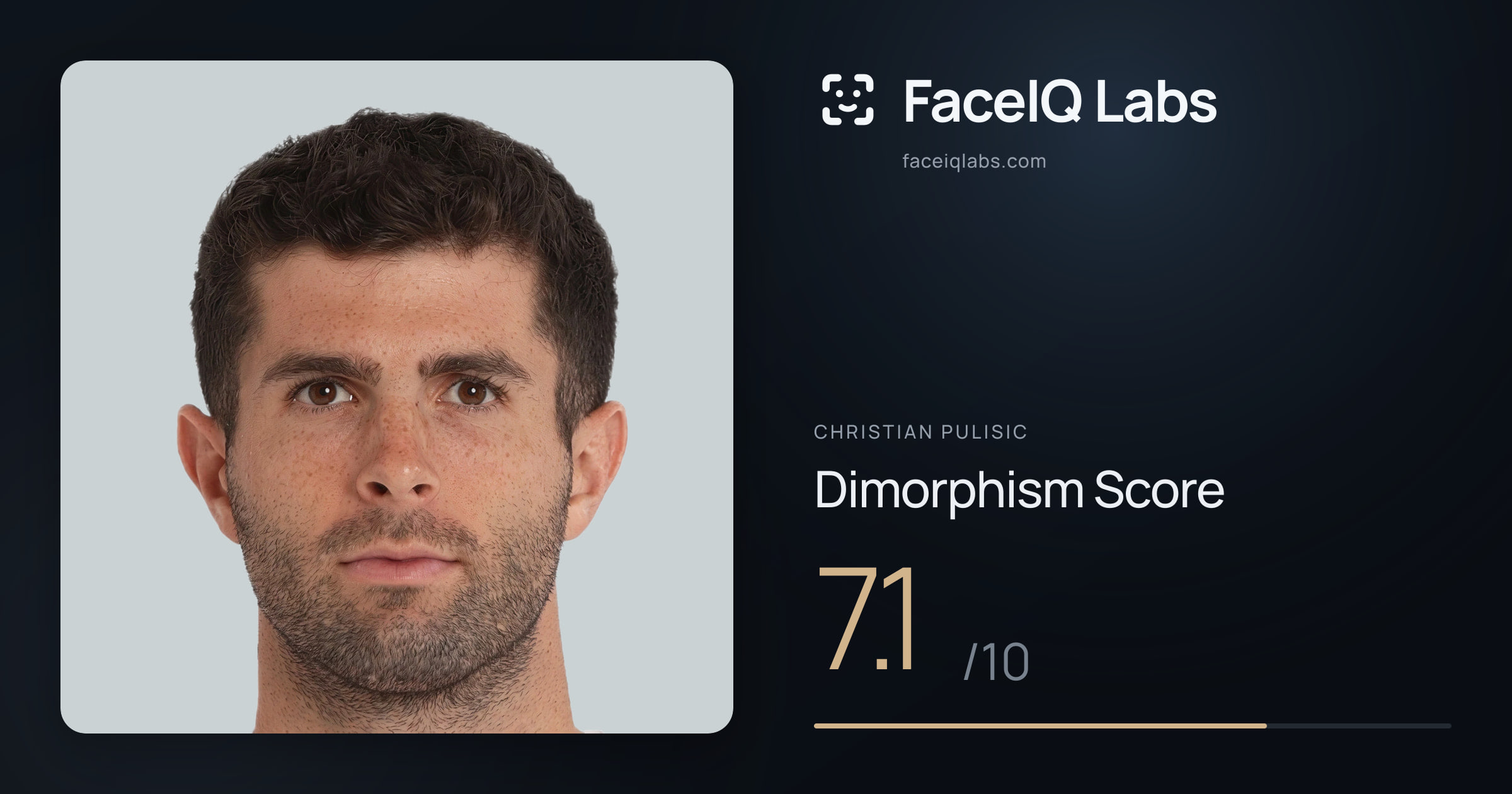 Christian Pulisic Dimorphism: 7.1/10, with each assessment drawn on the photo