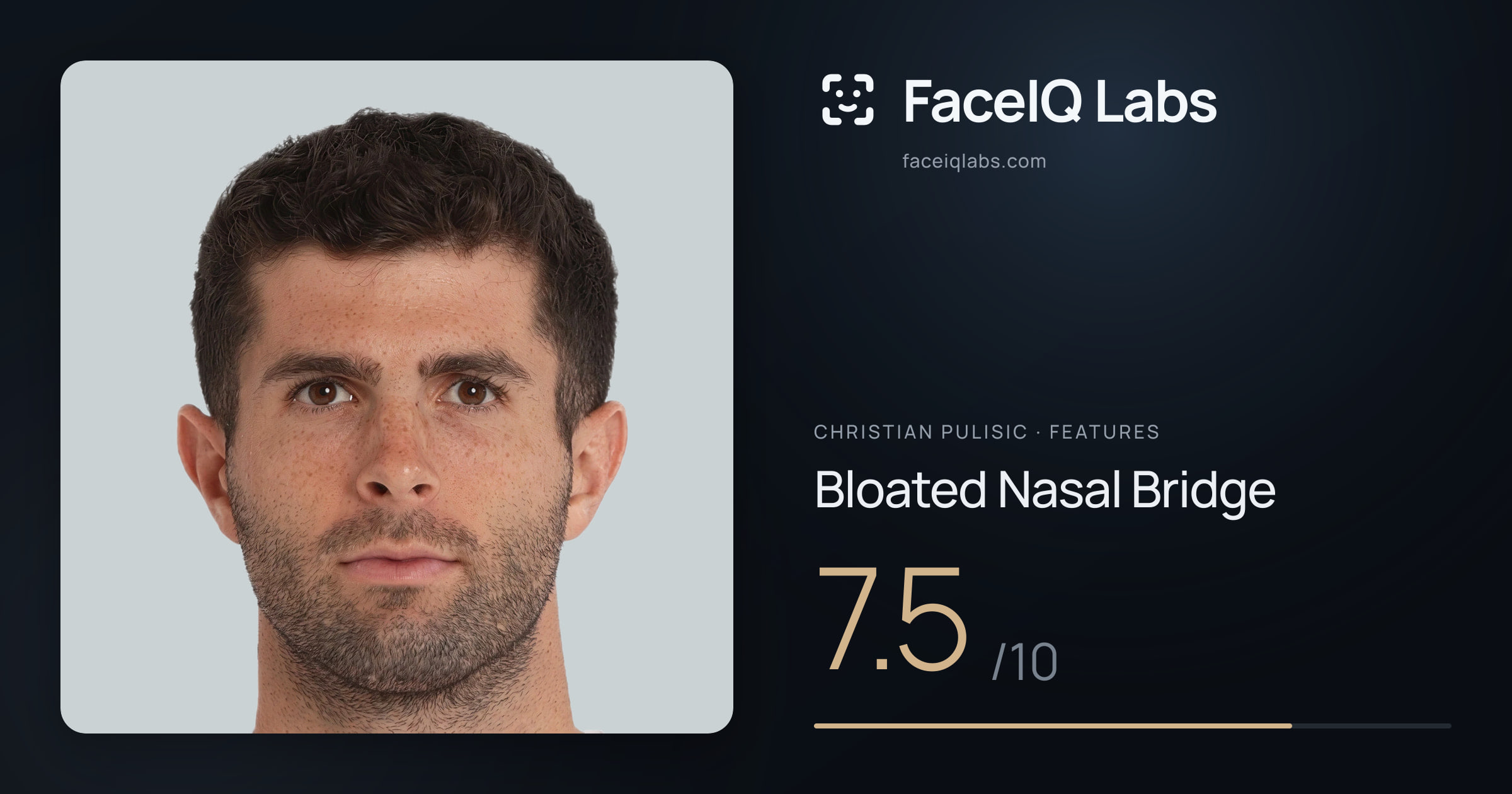 Christian Pulisic Bloated Nasal Bridge: 7.5/10, drawn on the photo