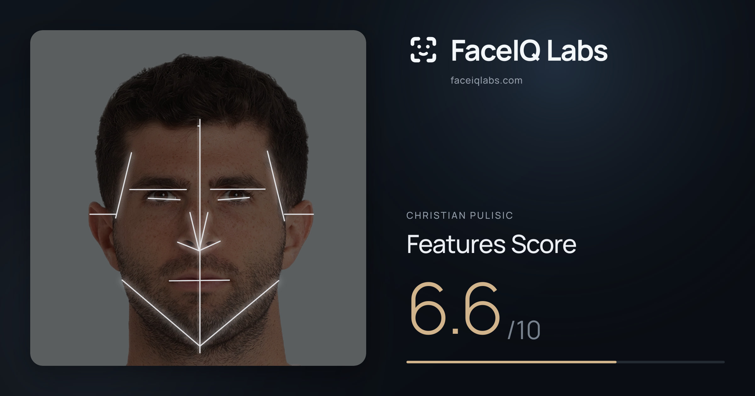 Christian Pulisic Features: 6.6/10, with each assessment drawn on the photo