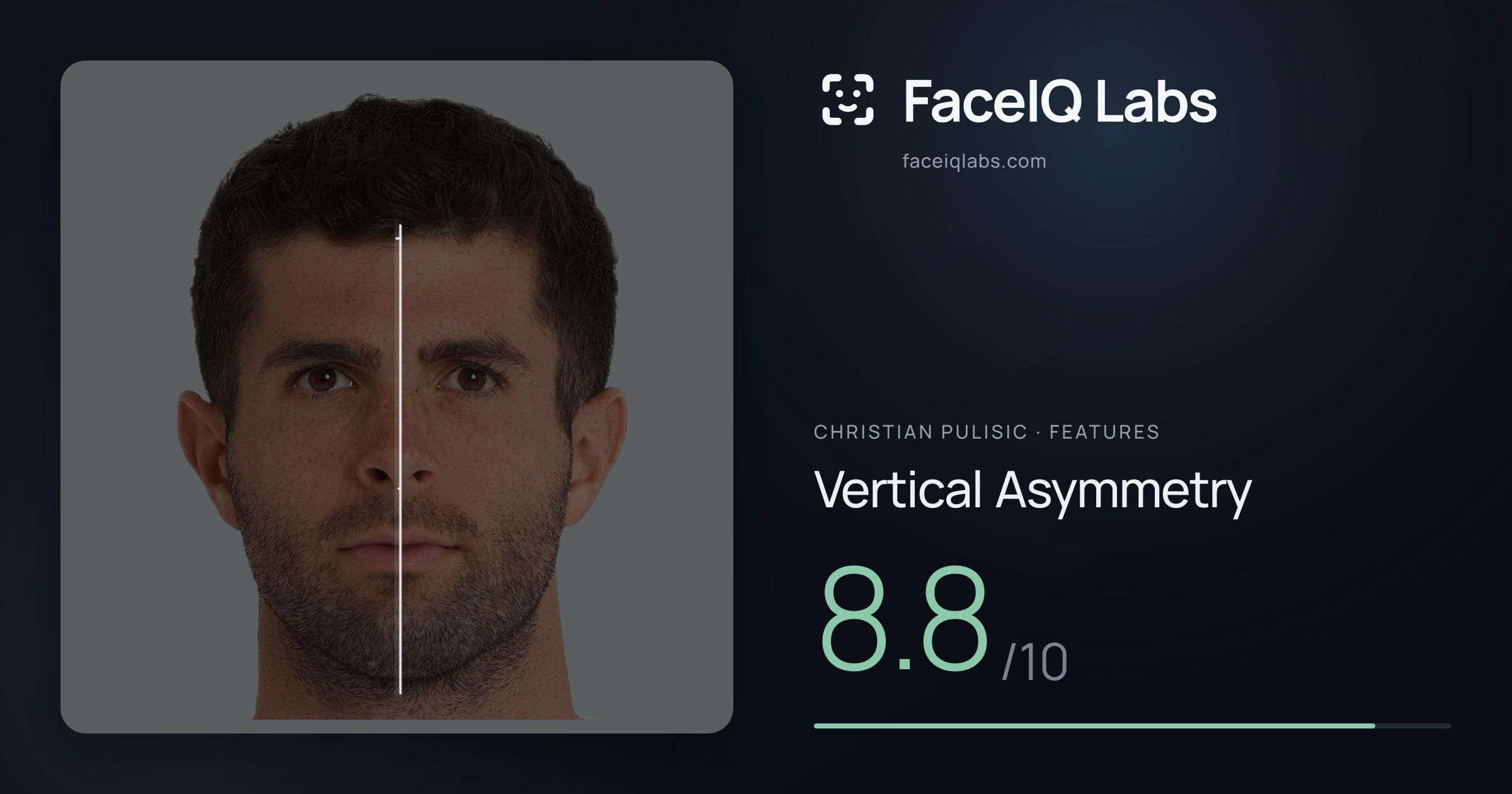 Christian Pulisic Vertical Asymmetry: 8.8/10, drawn on the photo