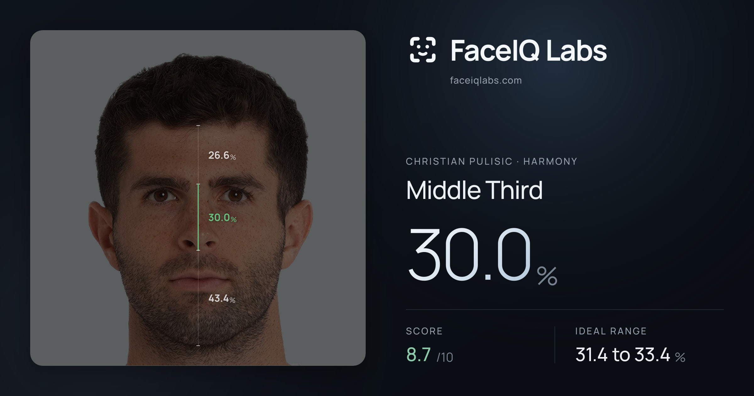 Christian Pulisic Middle Third: 30.0%, drawn on the photo