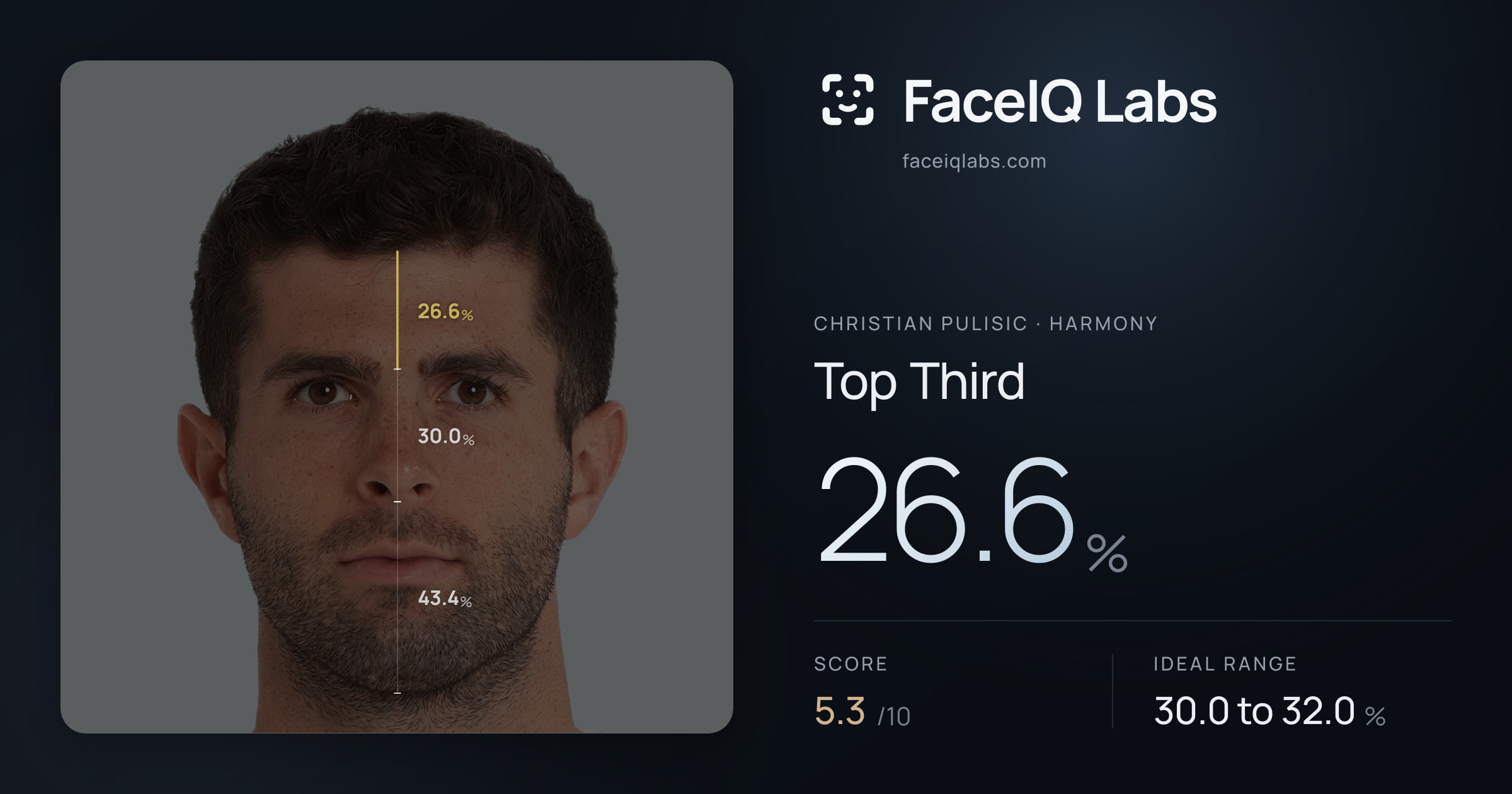 Christian Pulisic Top Third: 26.6%, drawn on the photo