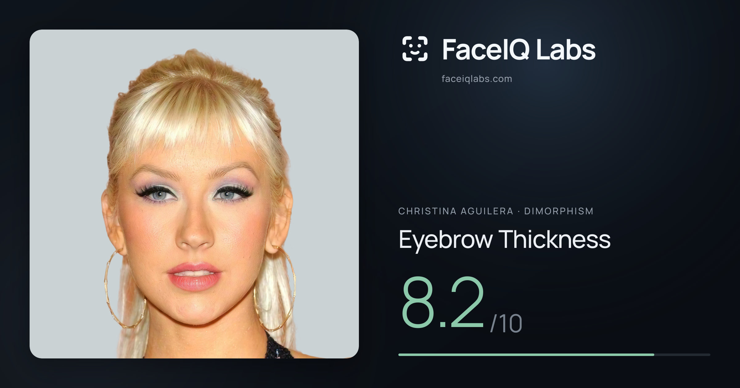 Christina Aguilera Eyebrow Thickness: 8.2/10, drawn on the photo