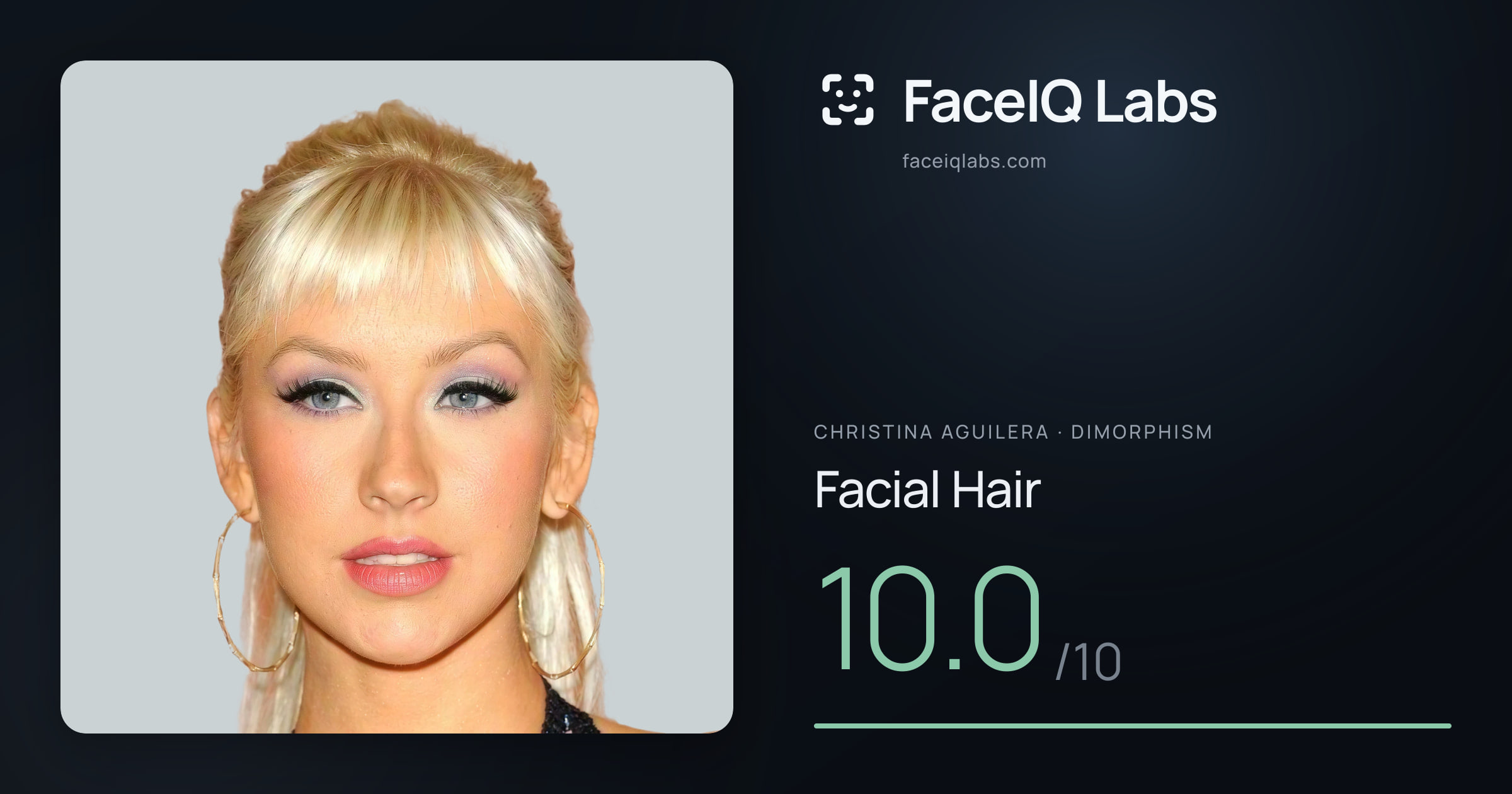 Christina Aguilera Facial Hair: 10.0/10, drawn on the photo