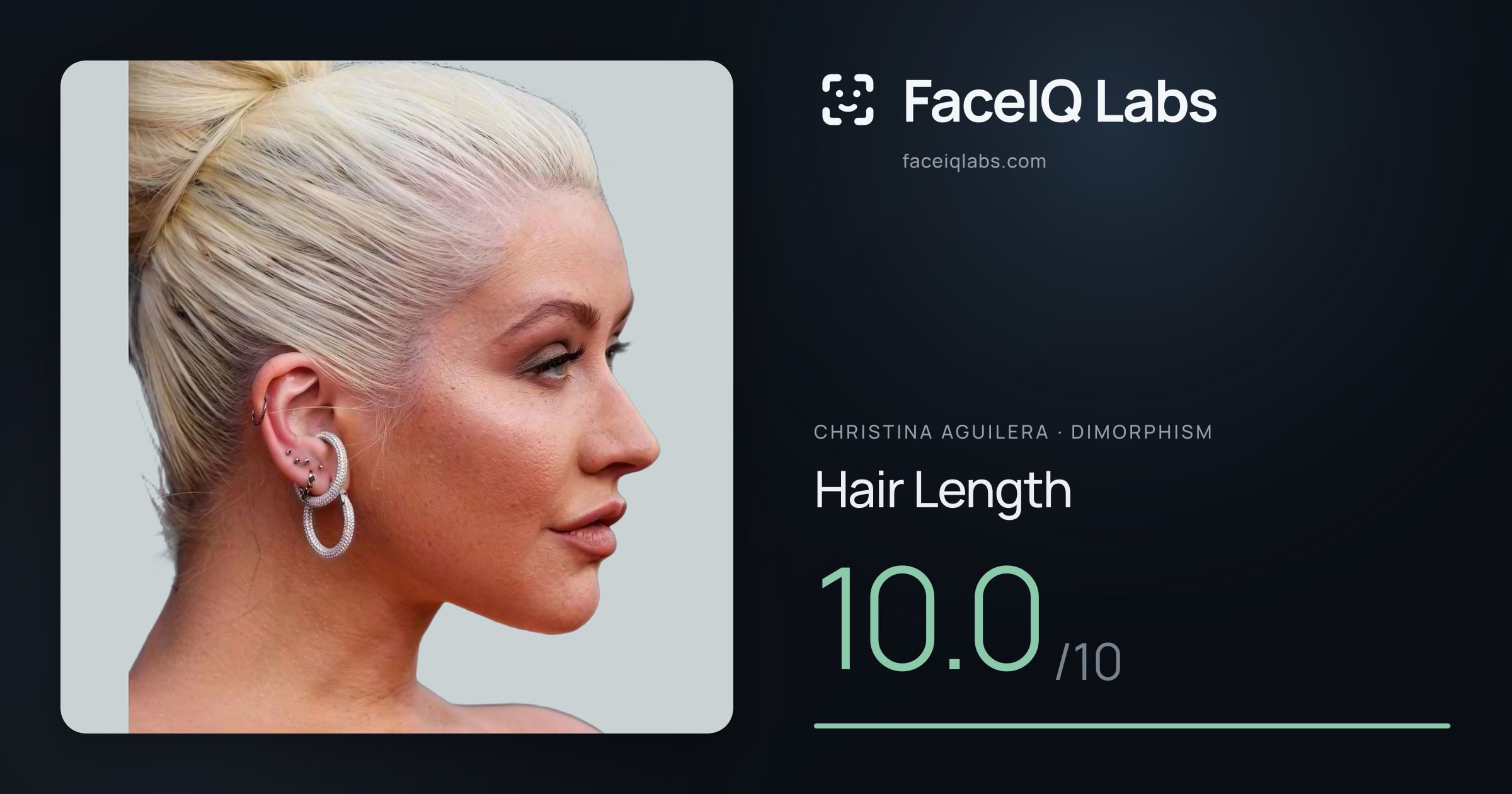 Christina Aguilera Hair Length: 10.0/10, drawn on the photo