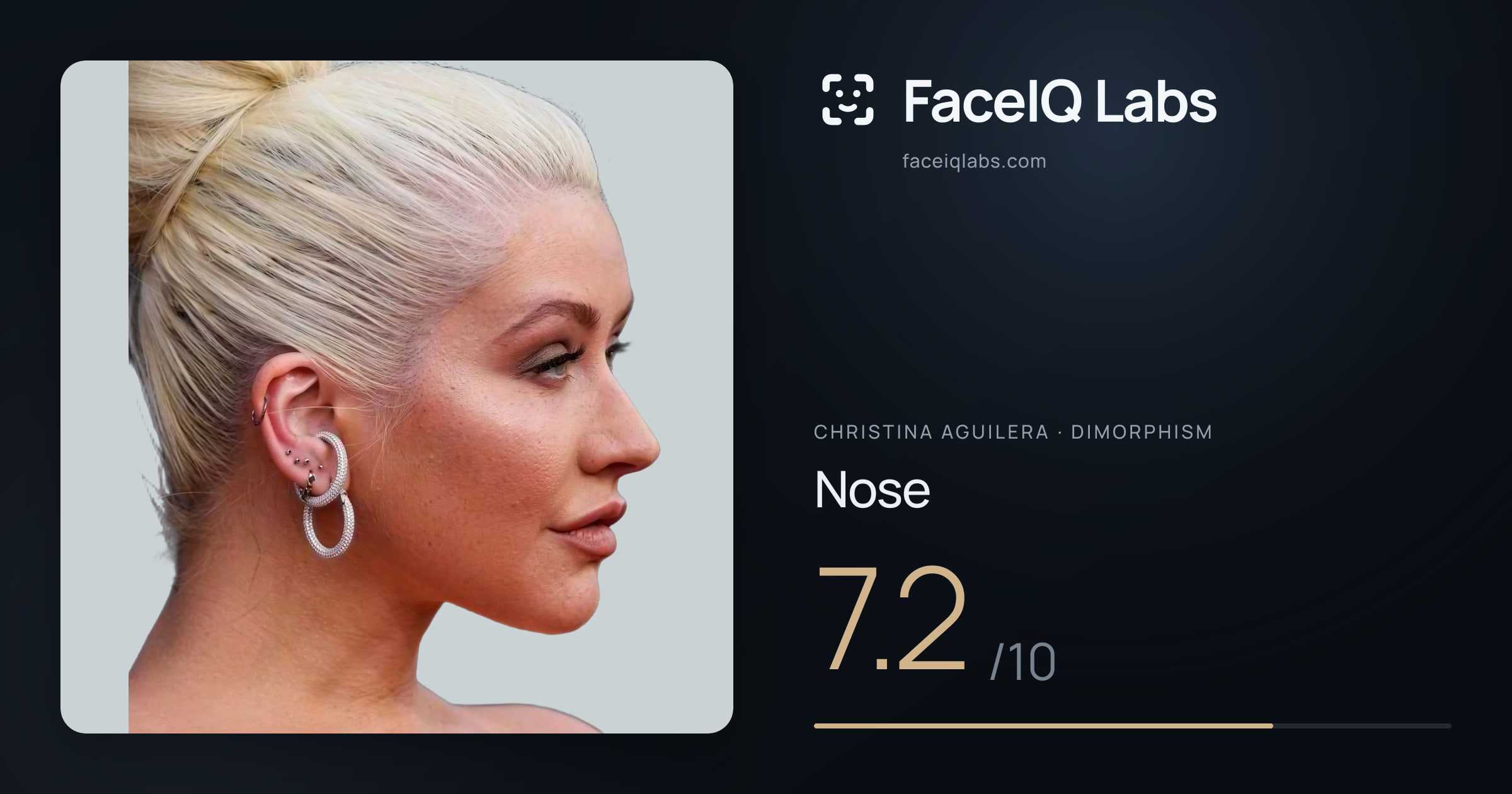 Christina Aguilera Nose: 7.2/10, drawn on the photo