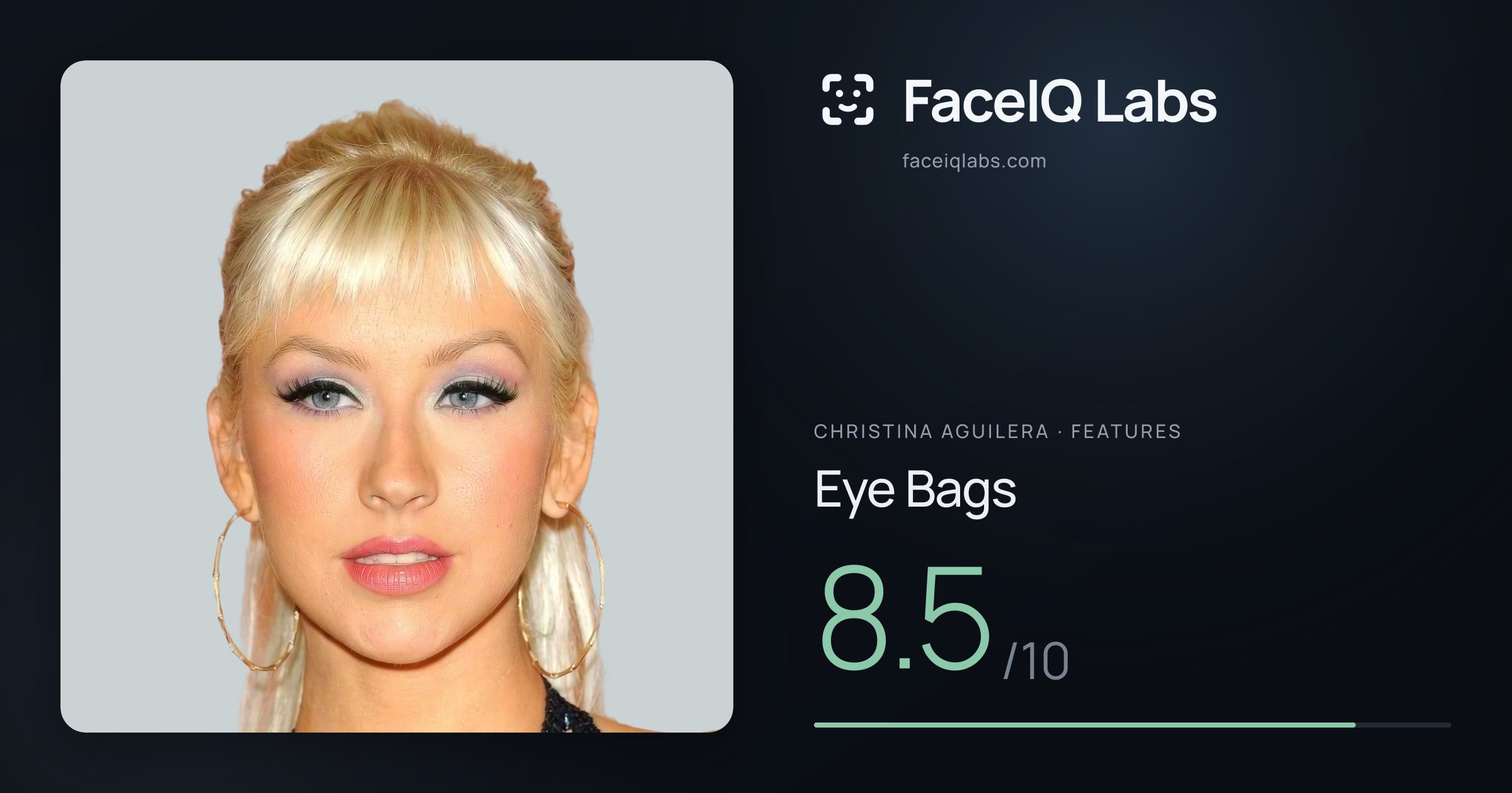 Christina Aguilera Eye Bags: 8.5/10, drawn on the photo