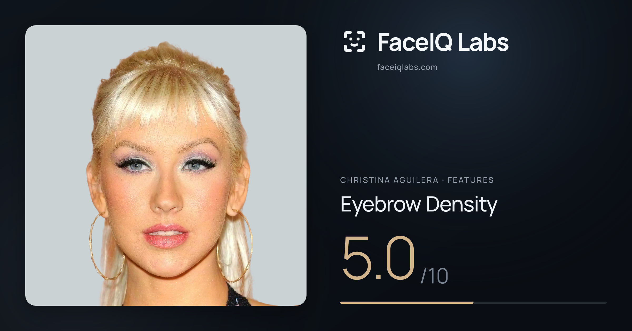 Christina Aguilera Eyebrow Density: 5.0/10, drawn on the photo