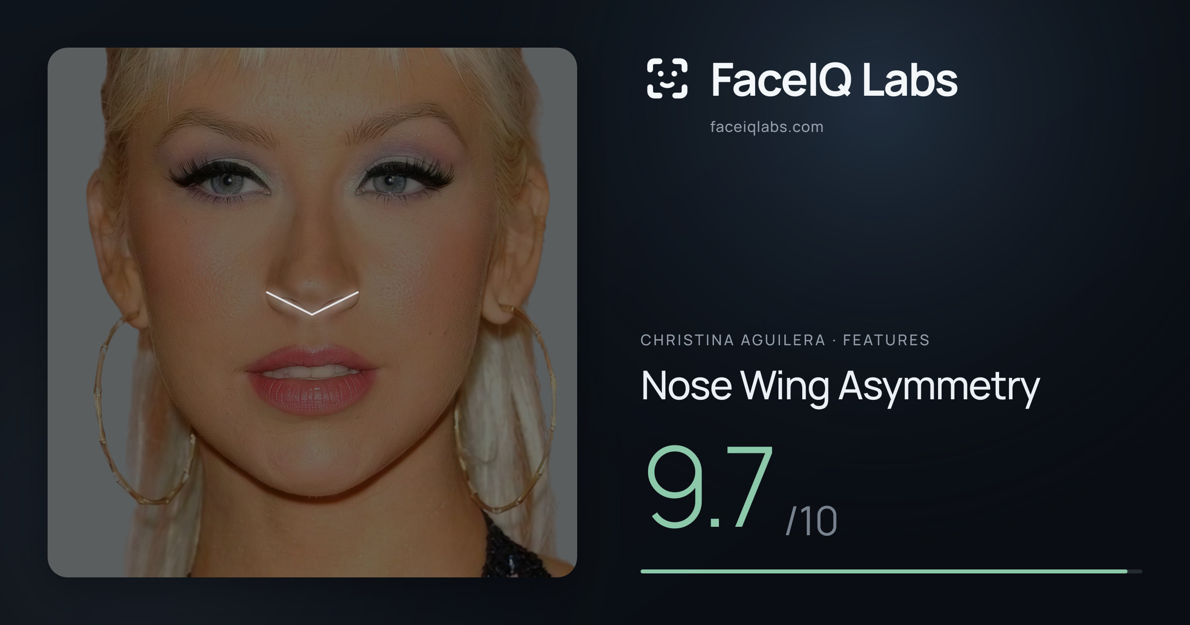 Christina Aguilera Nose Wing Asymmetry: 9.7/10, drawn on the photo