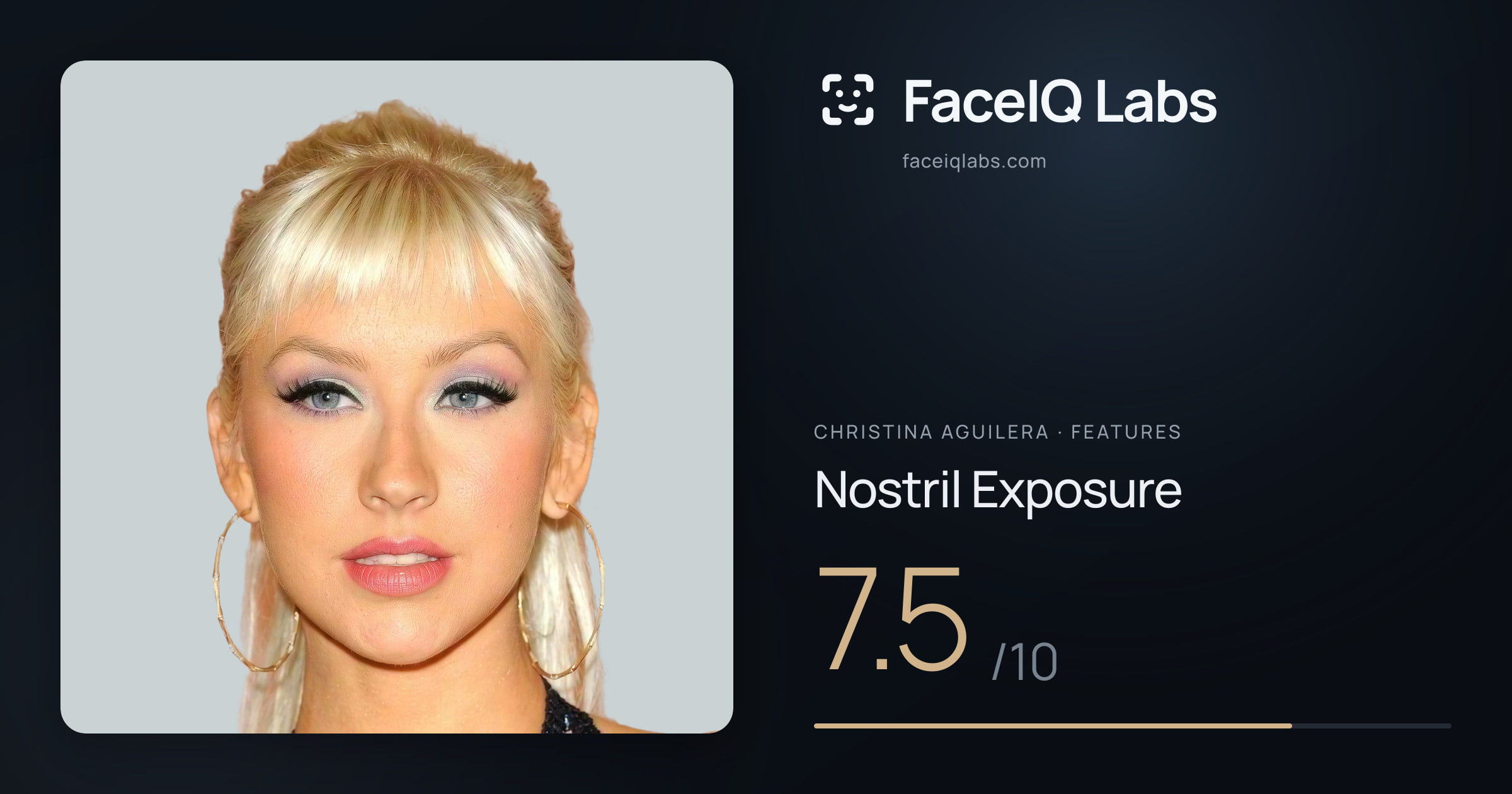 Christina Aguilera Nostril Exposure: 7.5/10, drawn on the photo