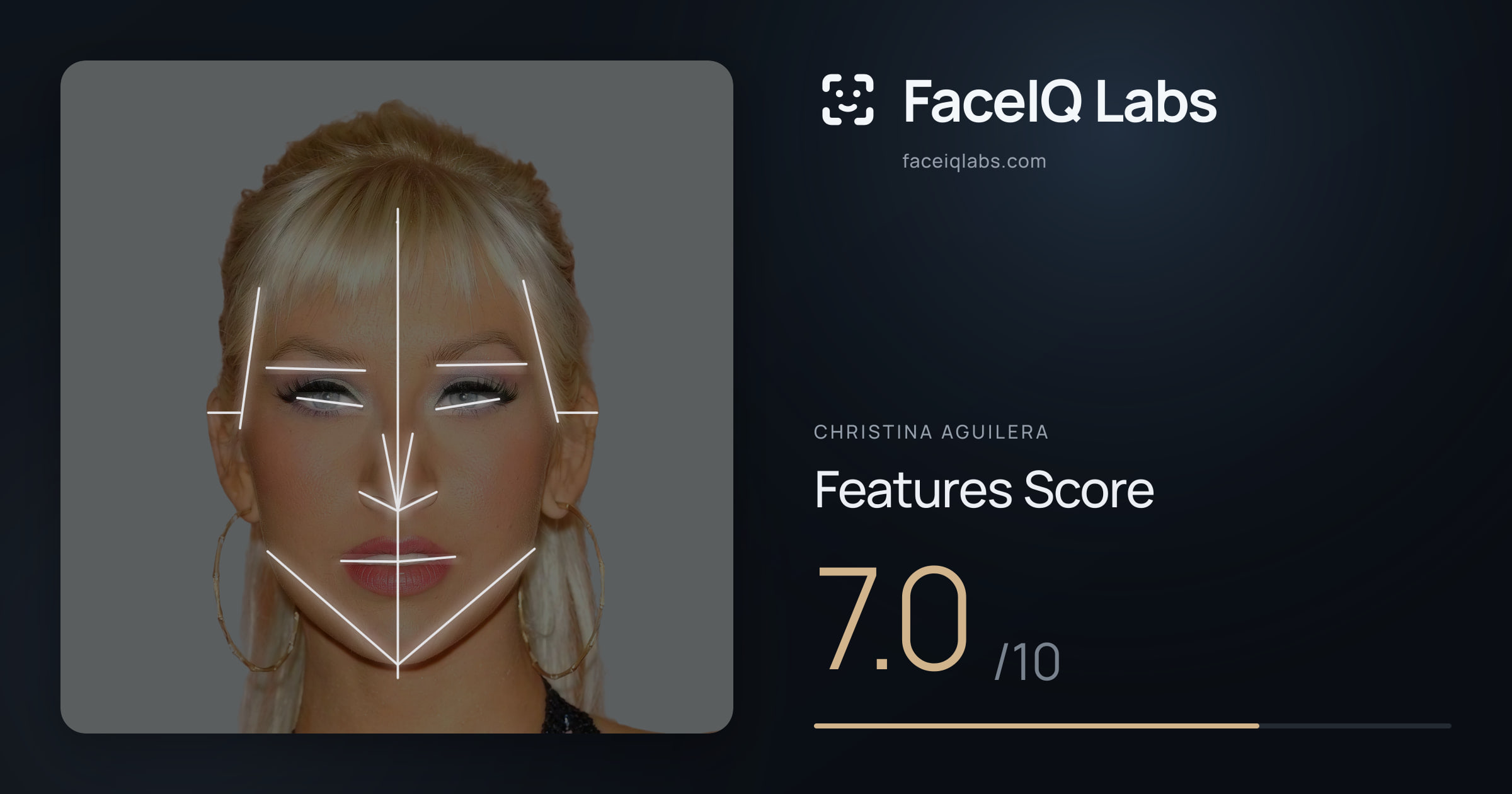 Christina Aguilera Features: 7.0/10, with each assessment drawn on the photo