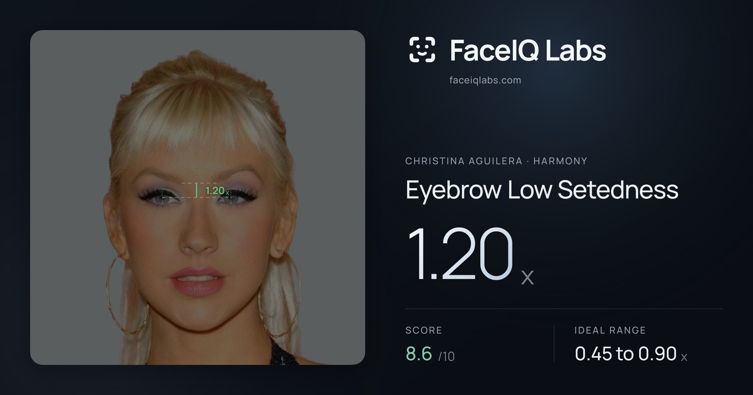 Christina Aguilera Eyebrow Low Setedness: 1.20x, drawn on the photo
