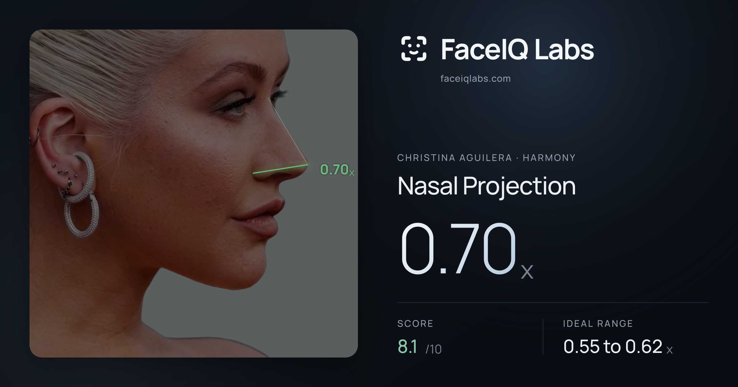 Christina Aguilera Nasal Projection: 0.70x, drawn on the photo